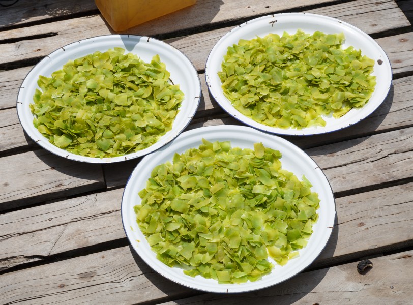 Pulau-Timbang Sabah Production-of-crab-chips-in-Kampung-Jerman-01