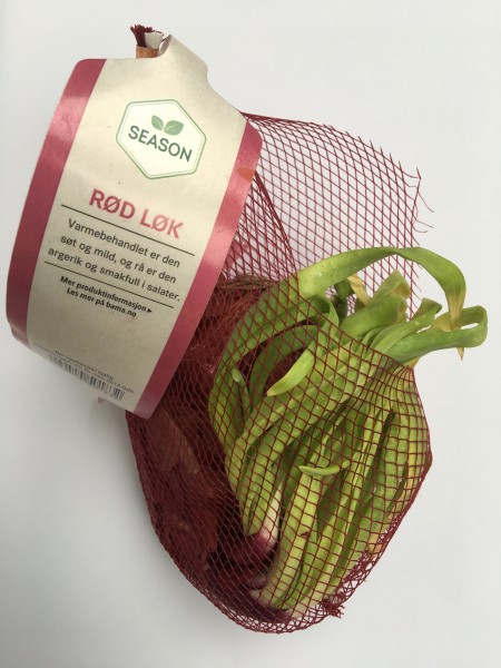 Red onion bulb soft and sprouting after being stored in light. Net packaging. Norway, September 2017