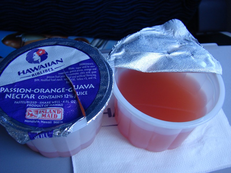 Starr 080801-9622 Psidium guajava