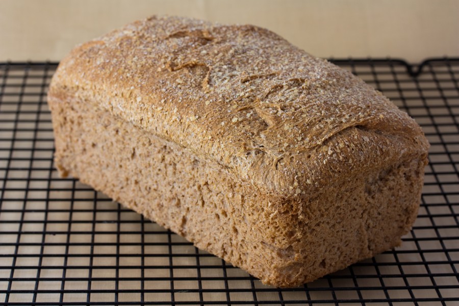 Vegan no-knead whole wheat bread loaf, September 2010