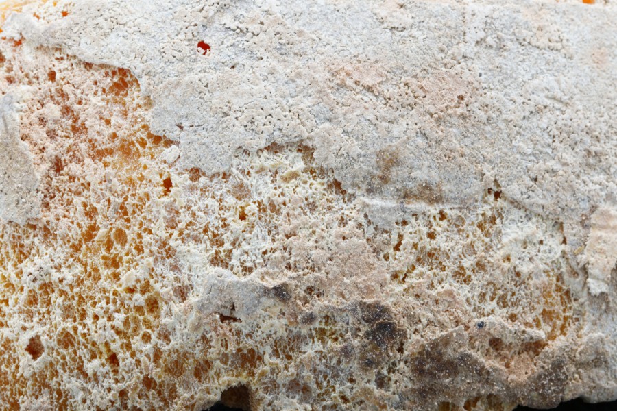 WikiCheese - Mimolette extra vieille 04