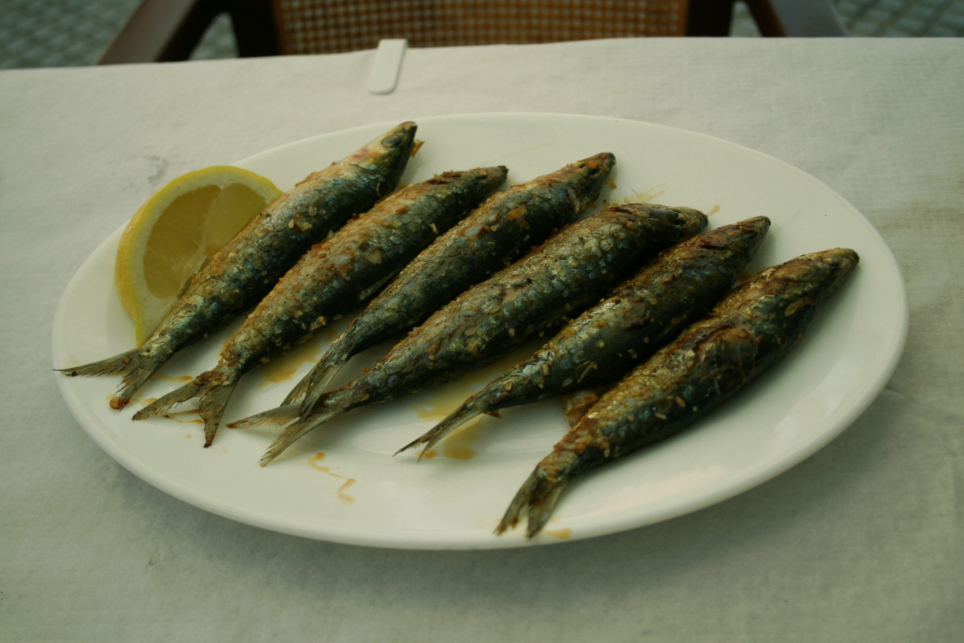 Sardinas a la plancha- Cádiz - 2009