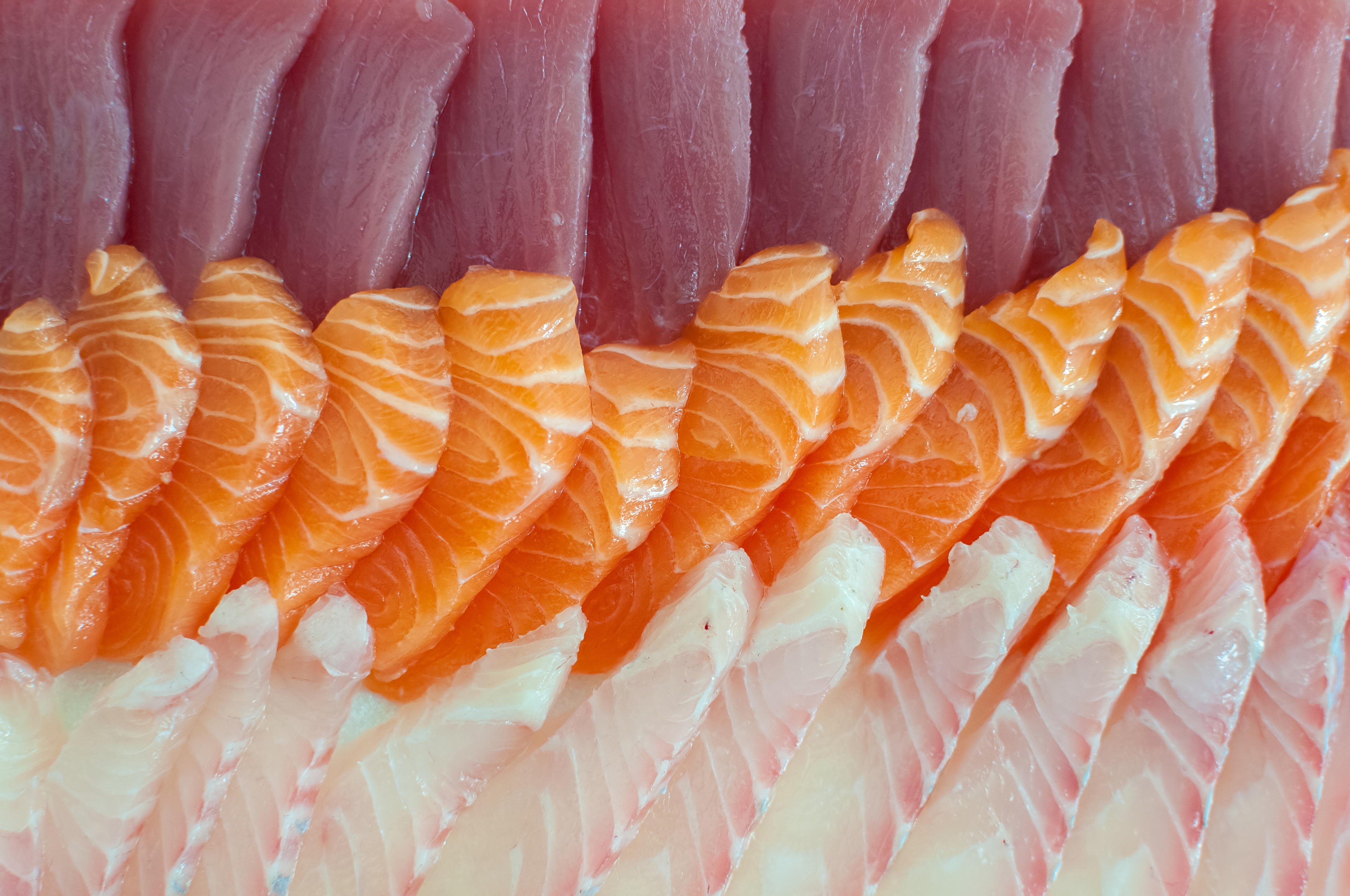Sashimi of São Paulo