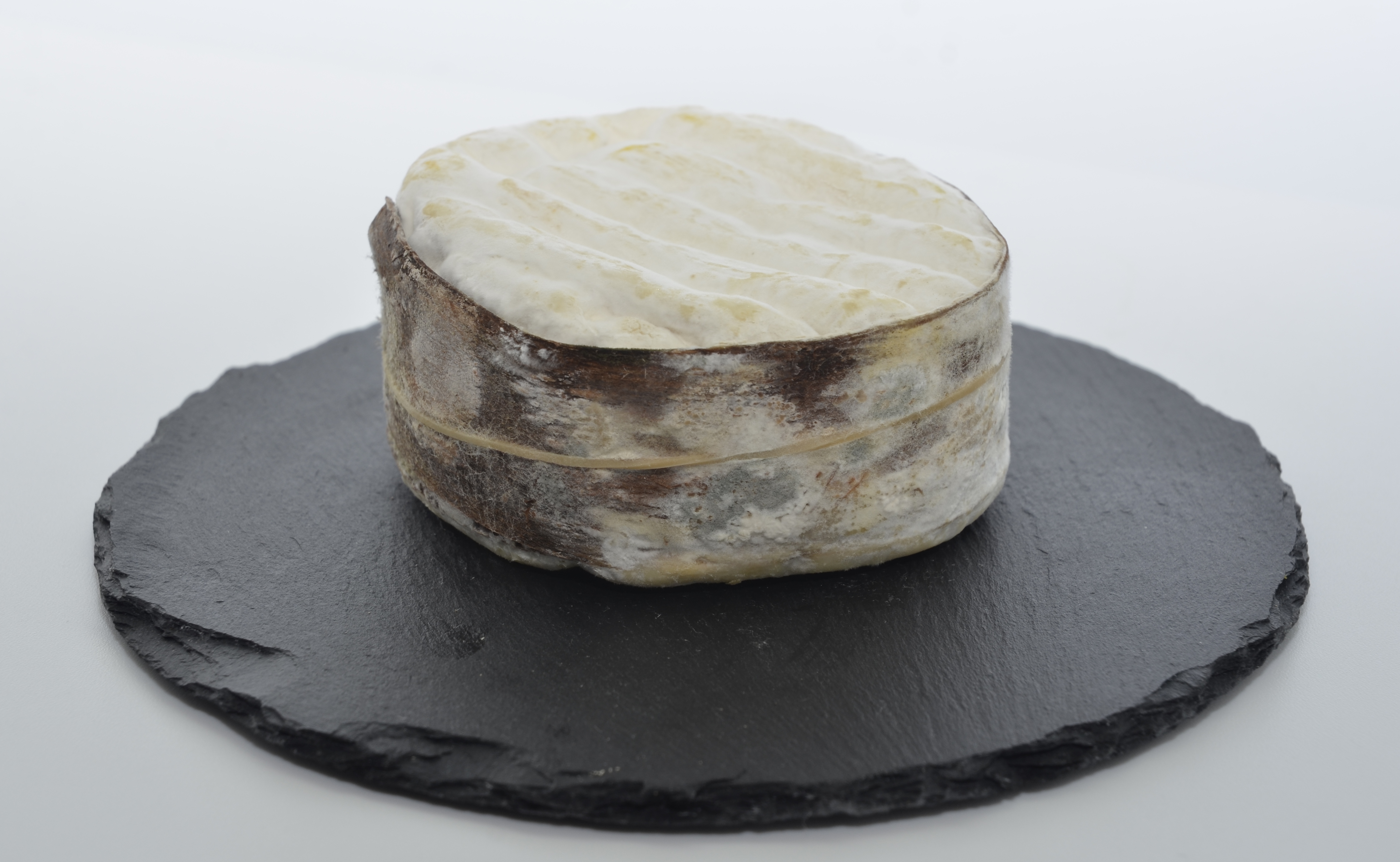 Soubois, WikiCheese Lausanne, 10-2016