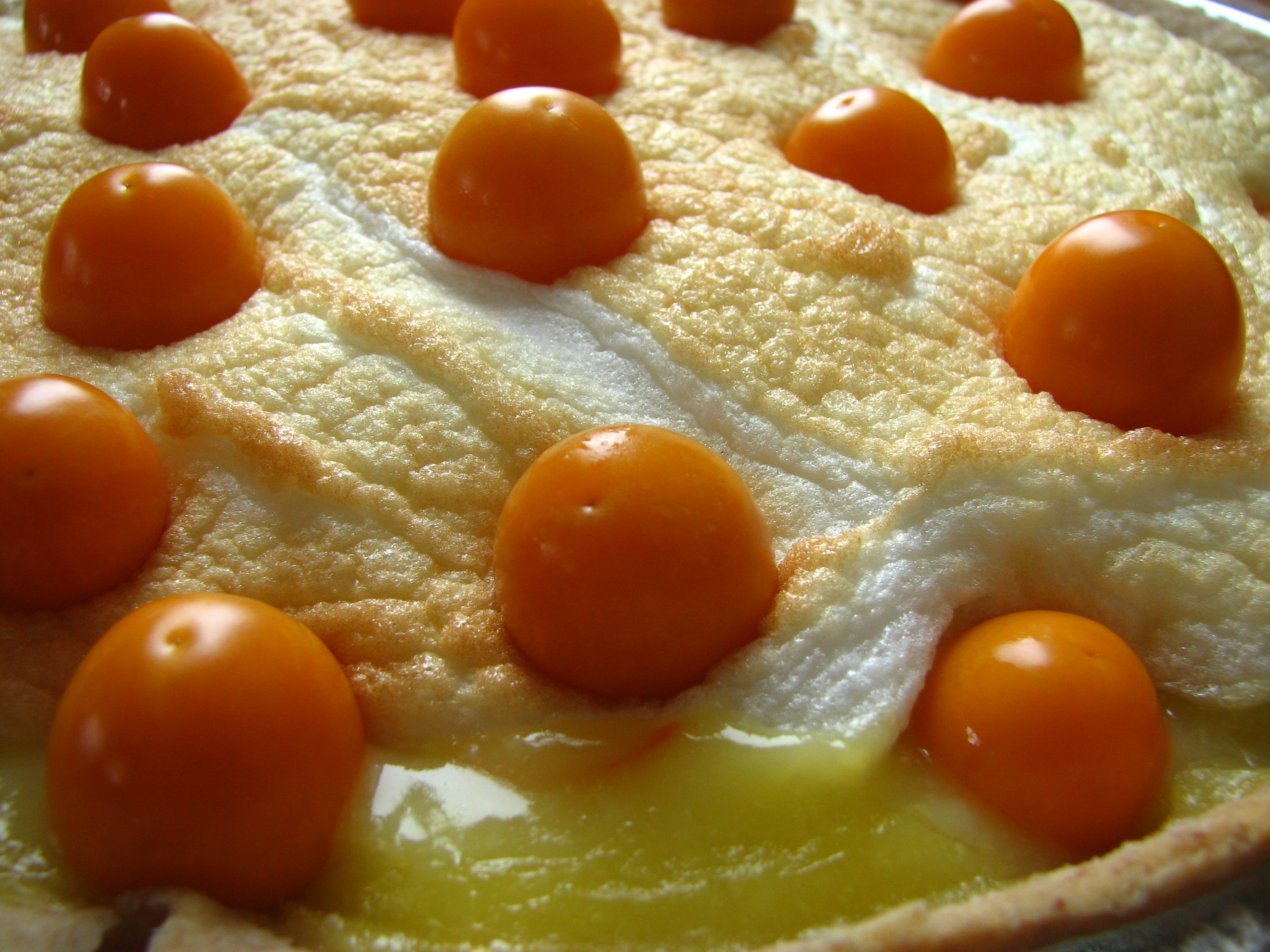 Tarte aux cerises - 20040323