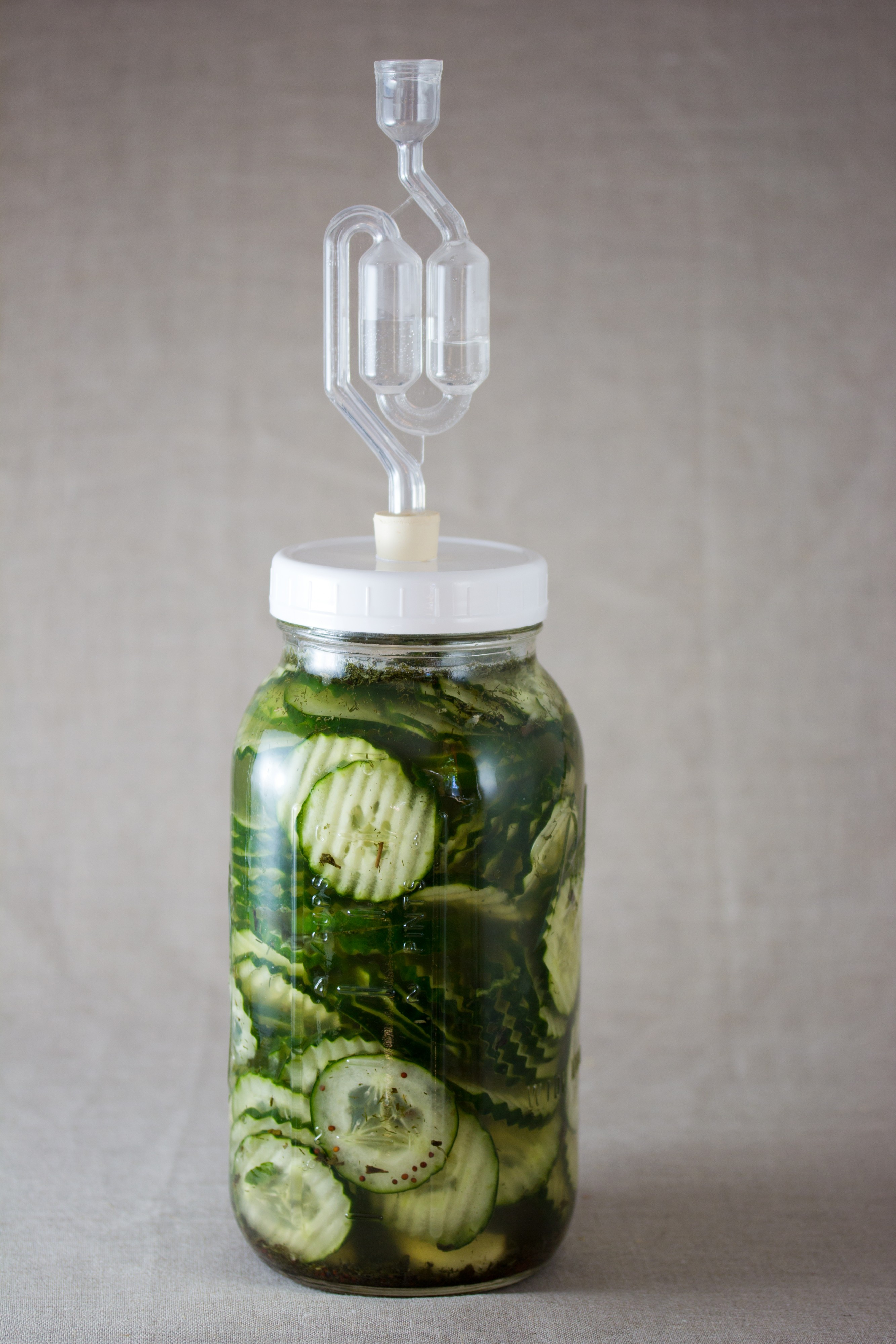 Wild Fermented Pickles (8681631197)