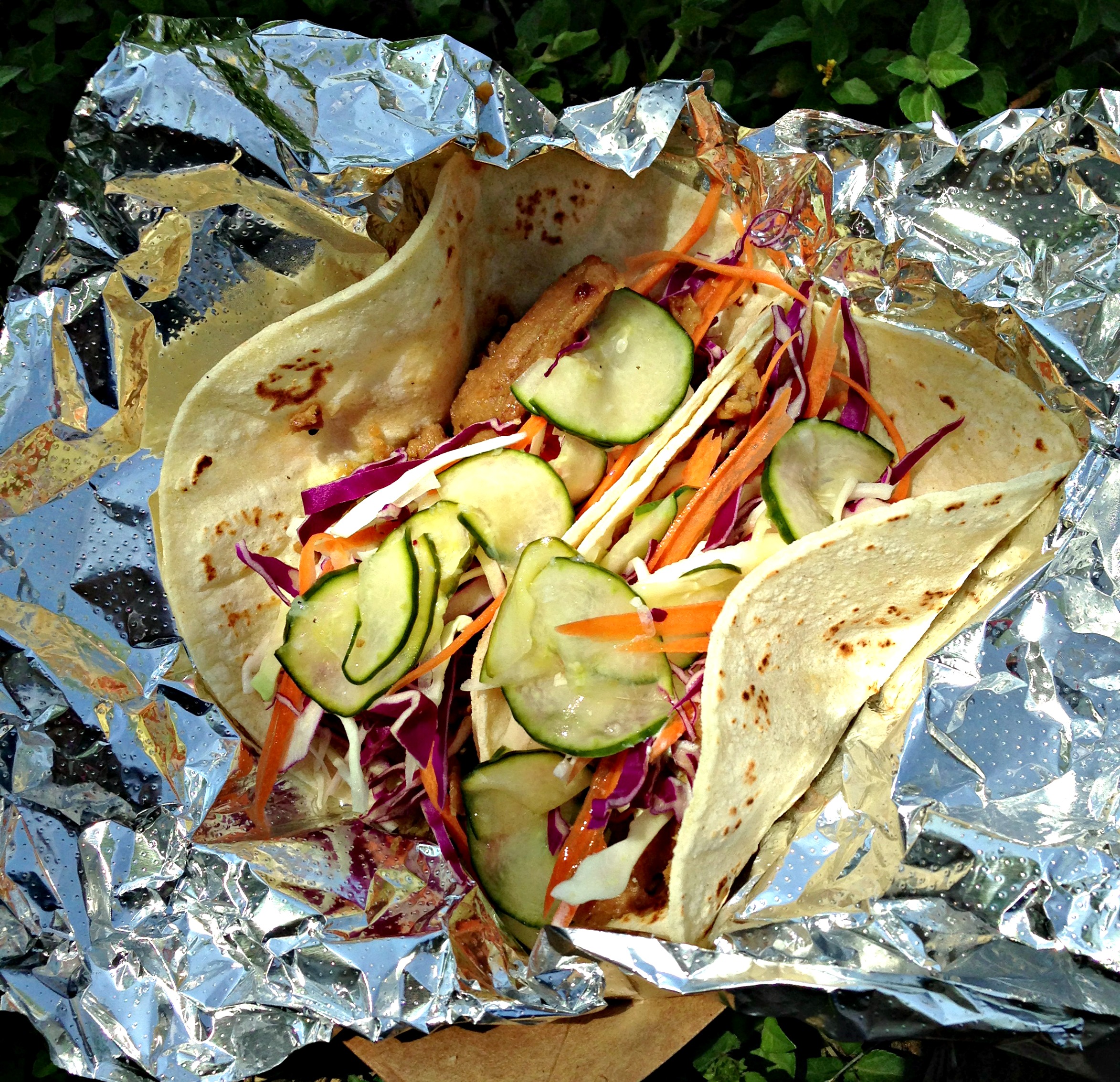 Vegan Taco (8632328690)