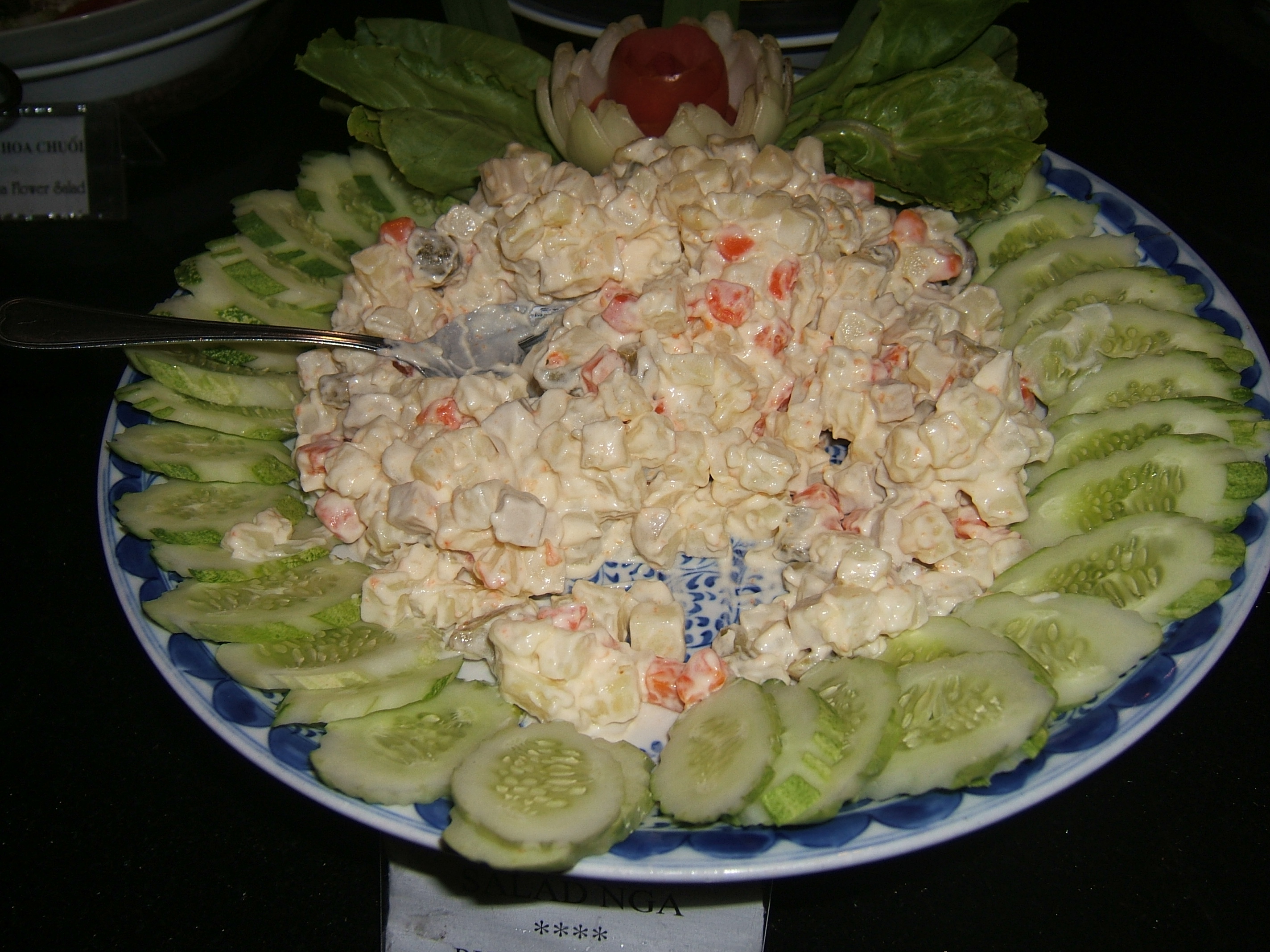 Xa lat Nga