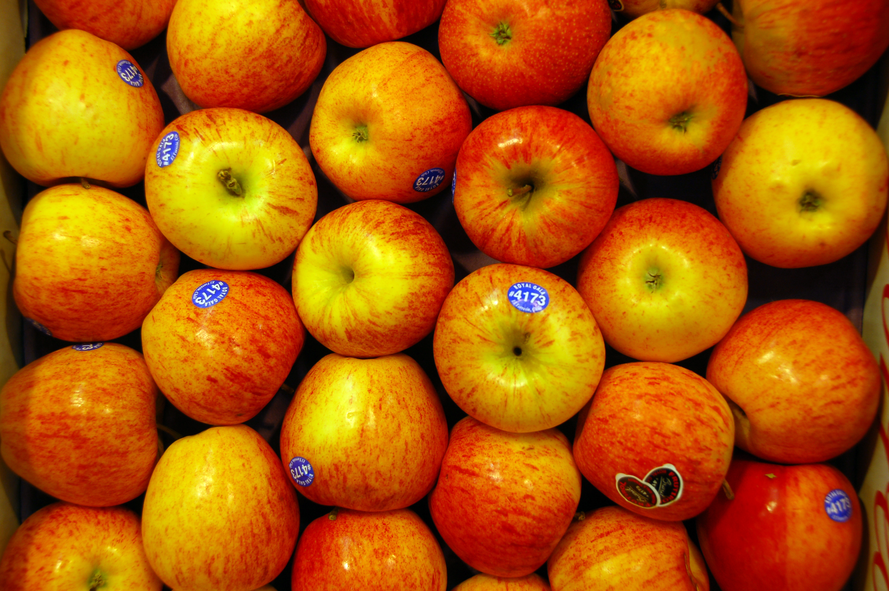 2010-06-19-supermarkt-by-RalfR-12