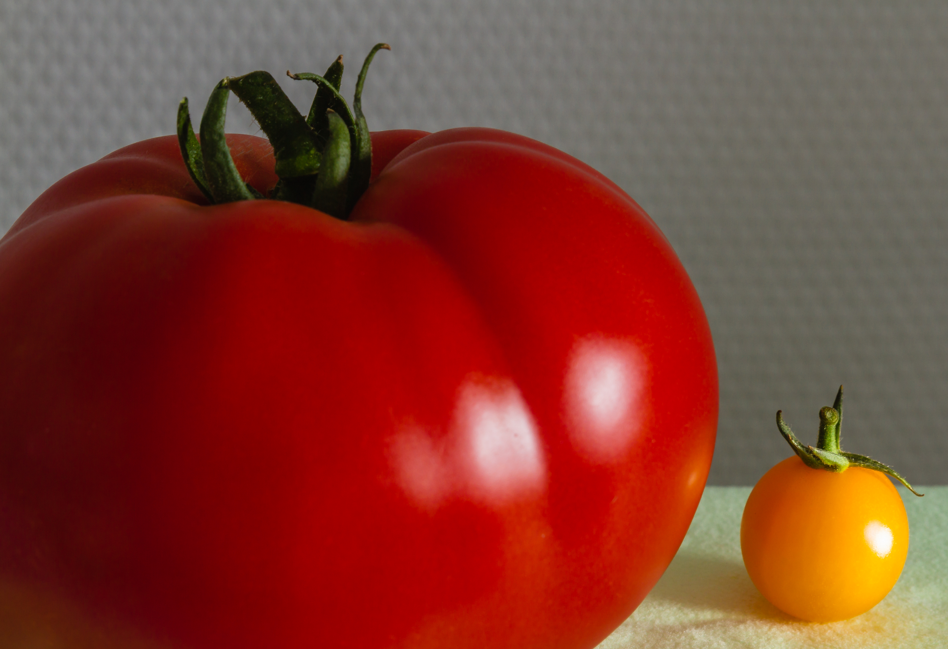 2013 09 10 Tomate