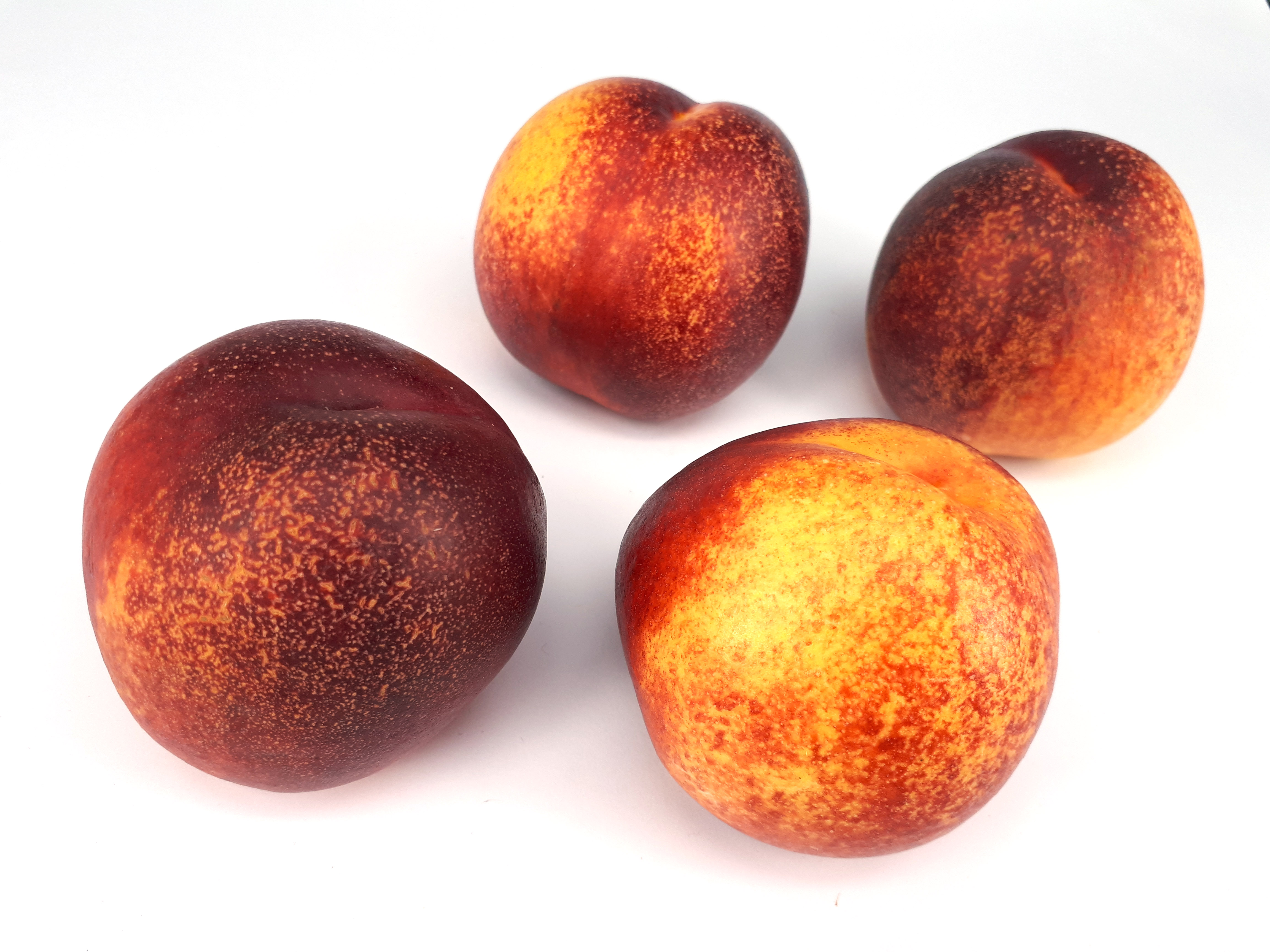 4 x Spotted nectarine 2017 A
