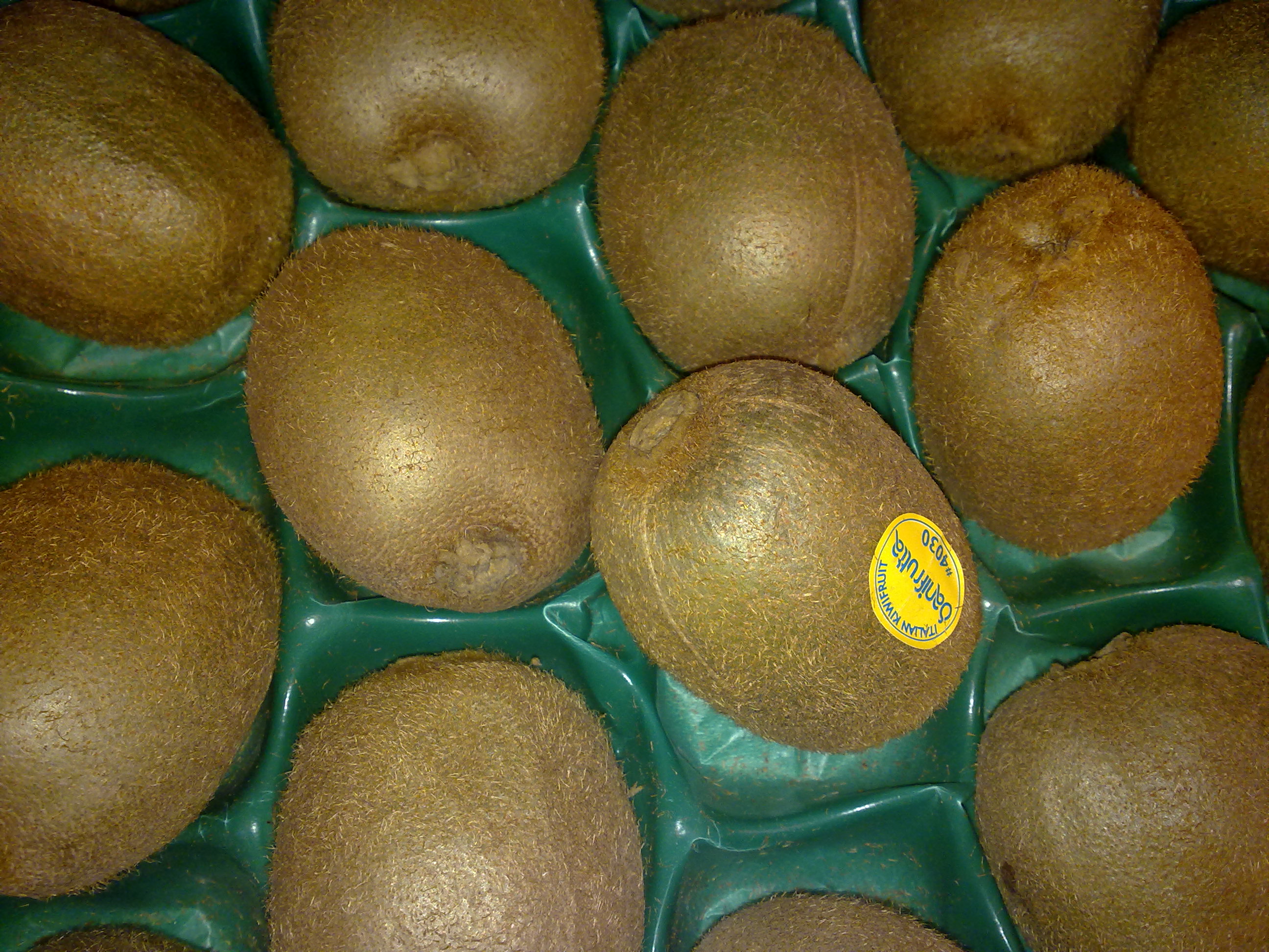 A depiction of Kiwi fruit