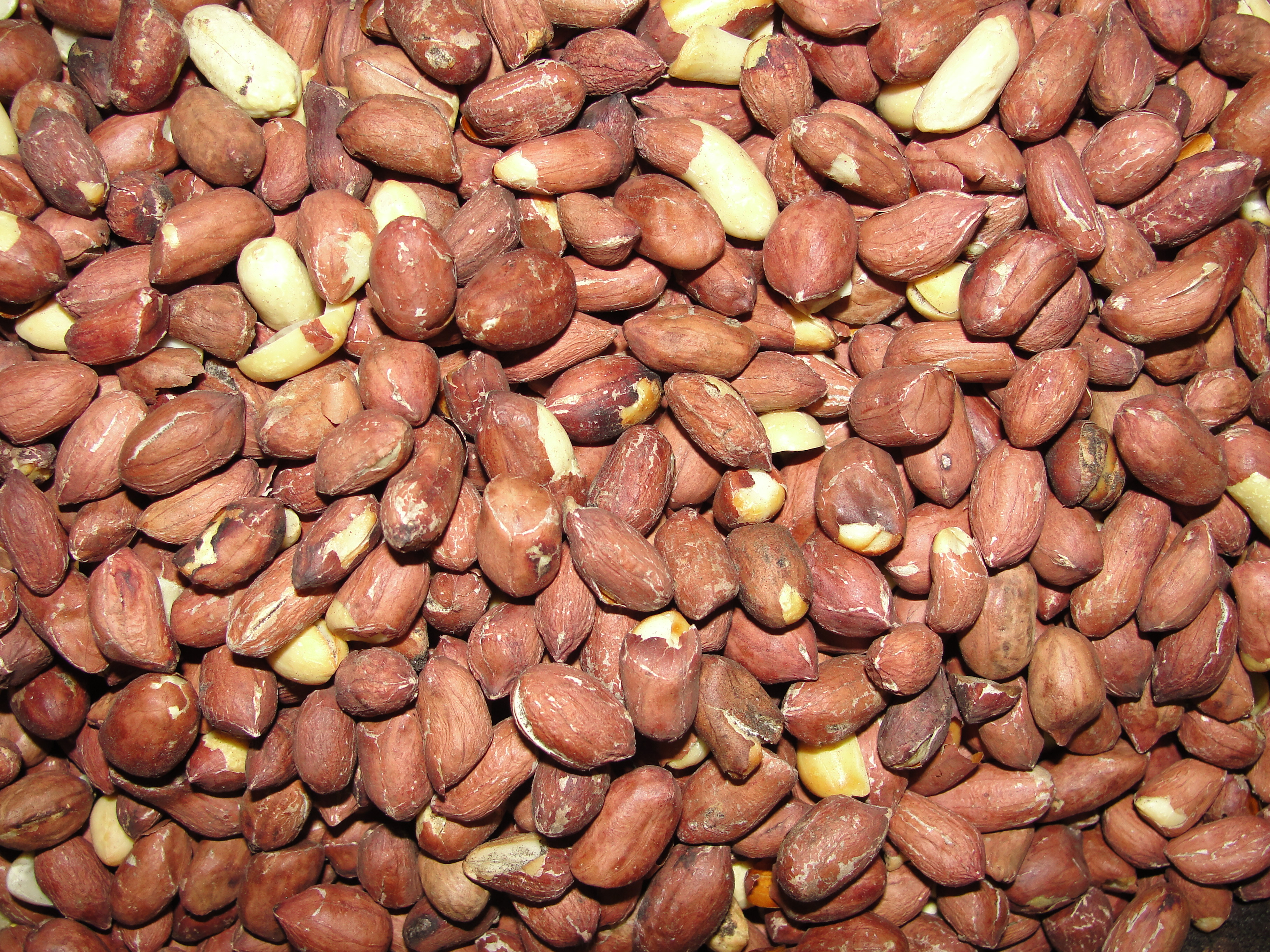A photo of roasted peanut