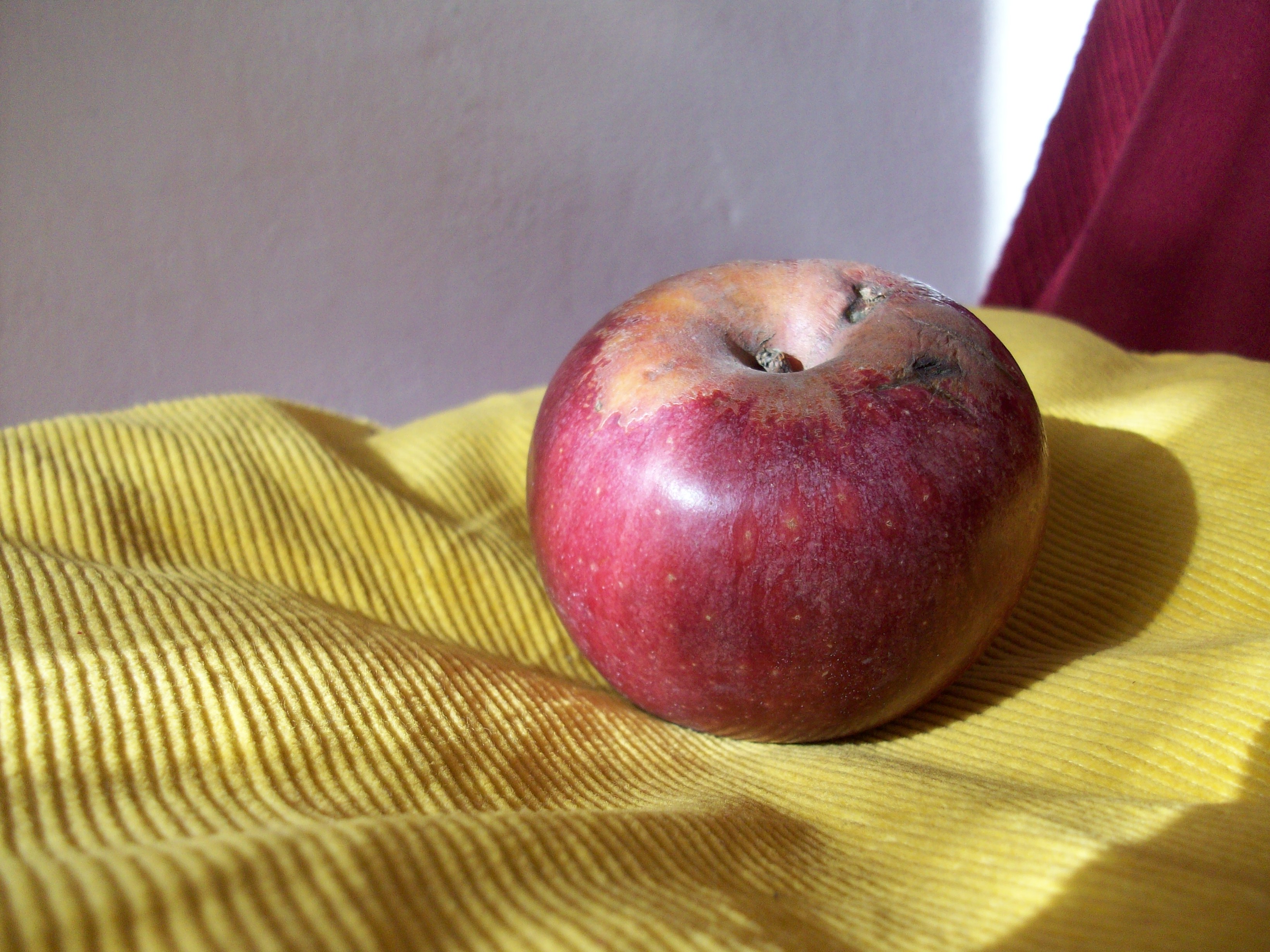 Annurca apple