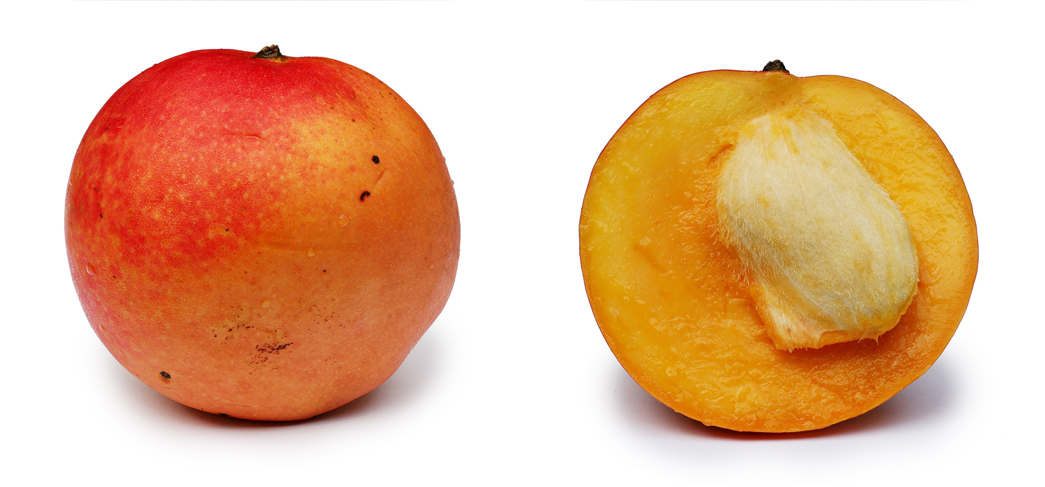 Apple mango and cross section