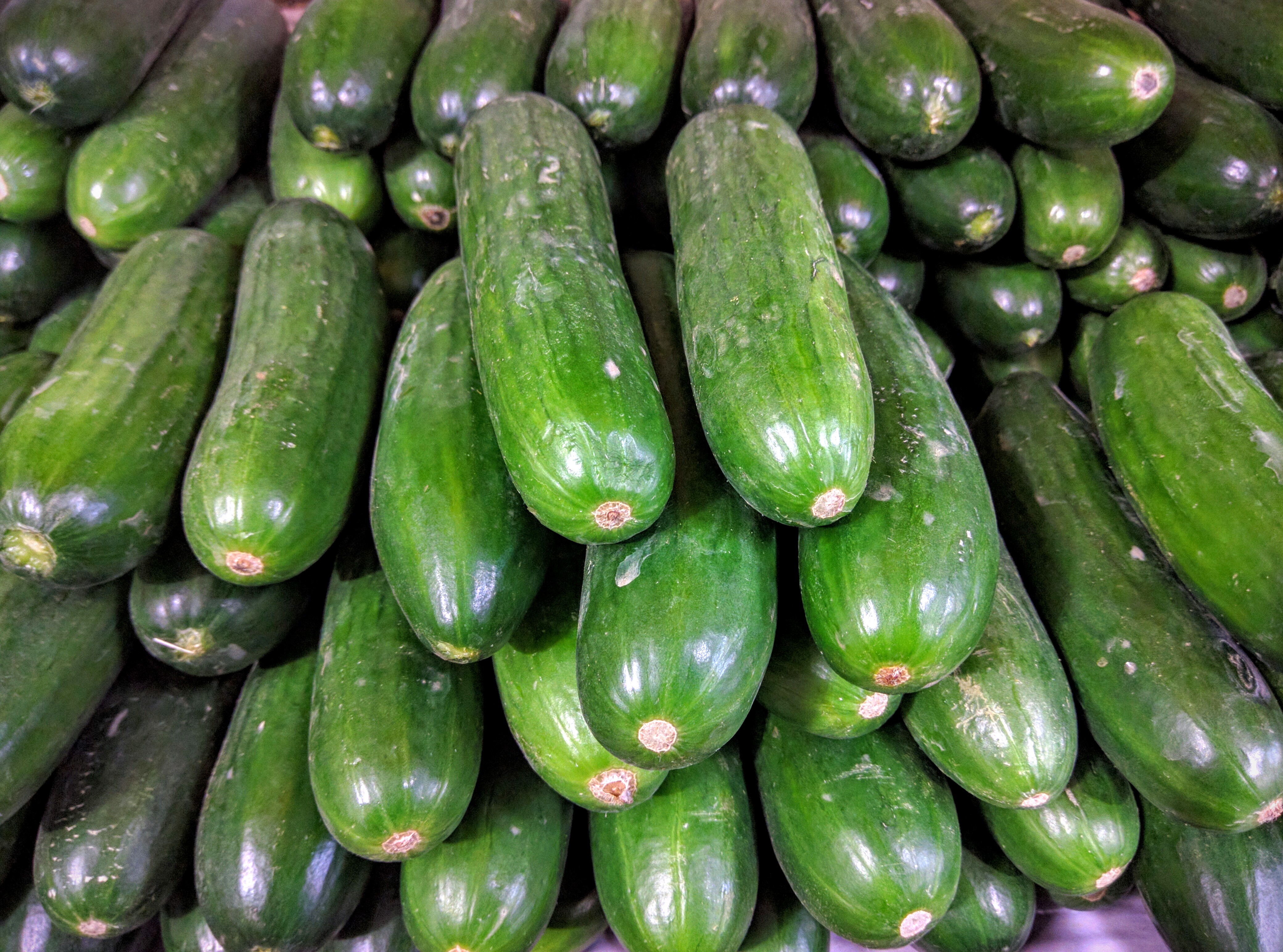 Australia Cucumbers for sale at store
