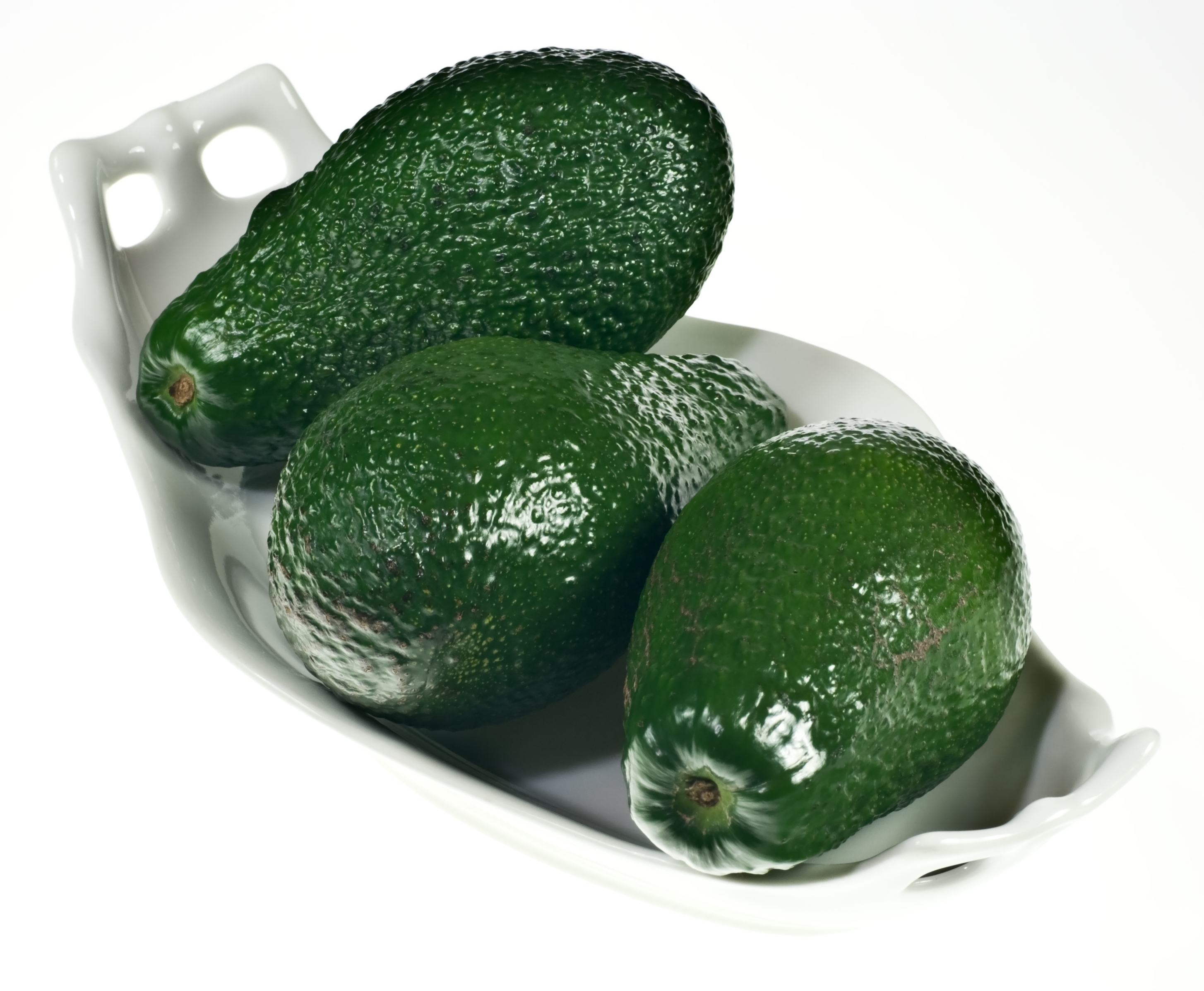 Avocado IMGP1053