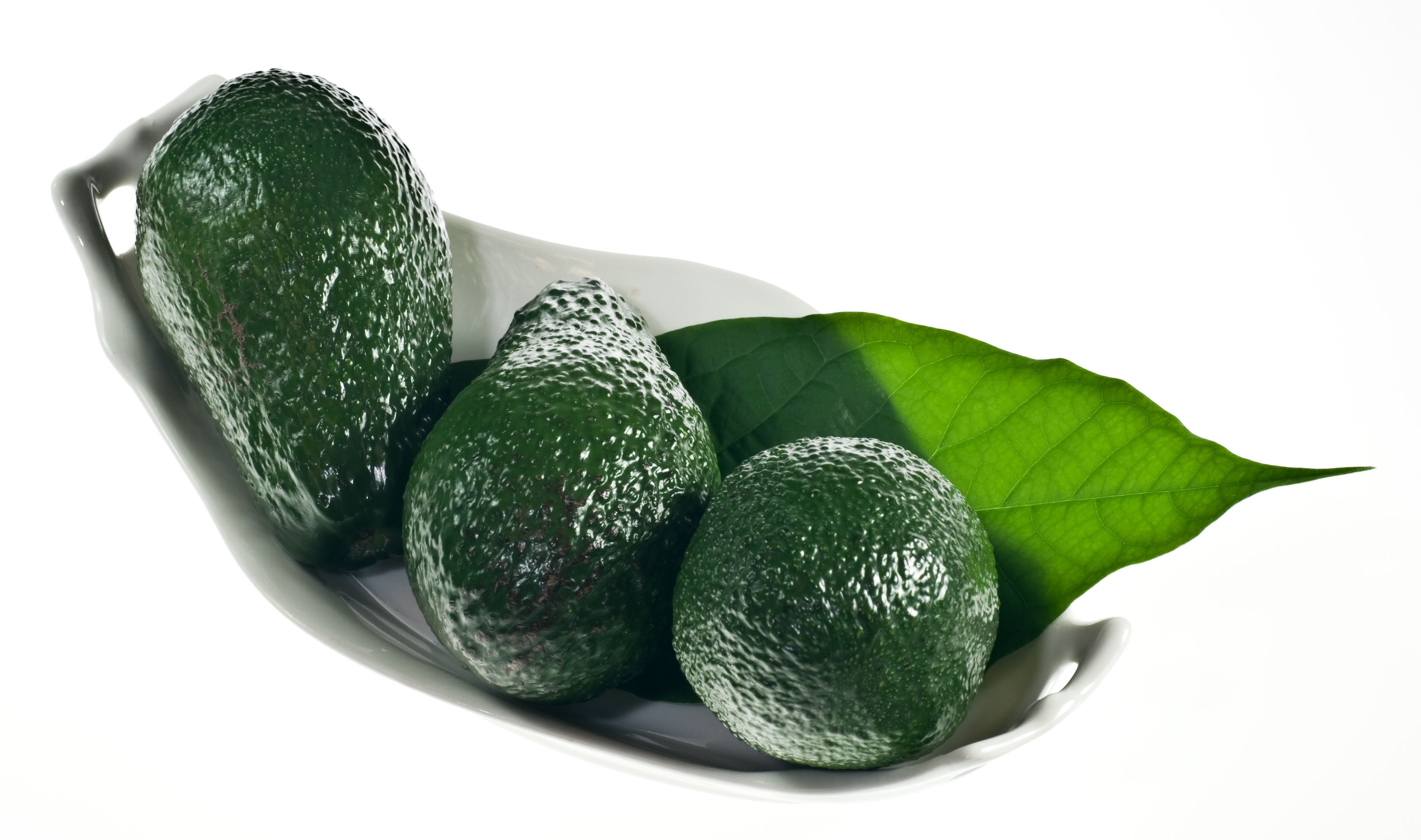 Avocado IMGP1093