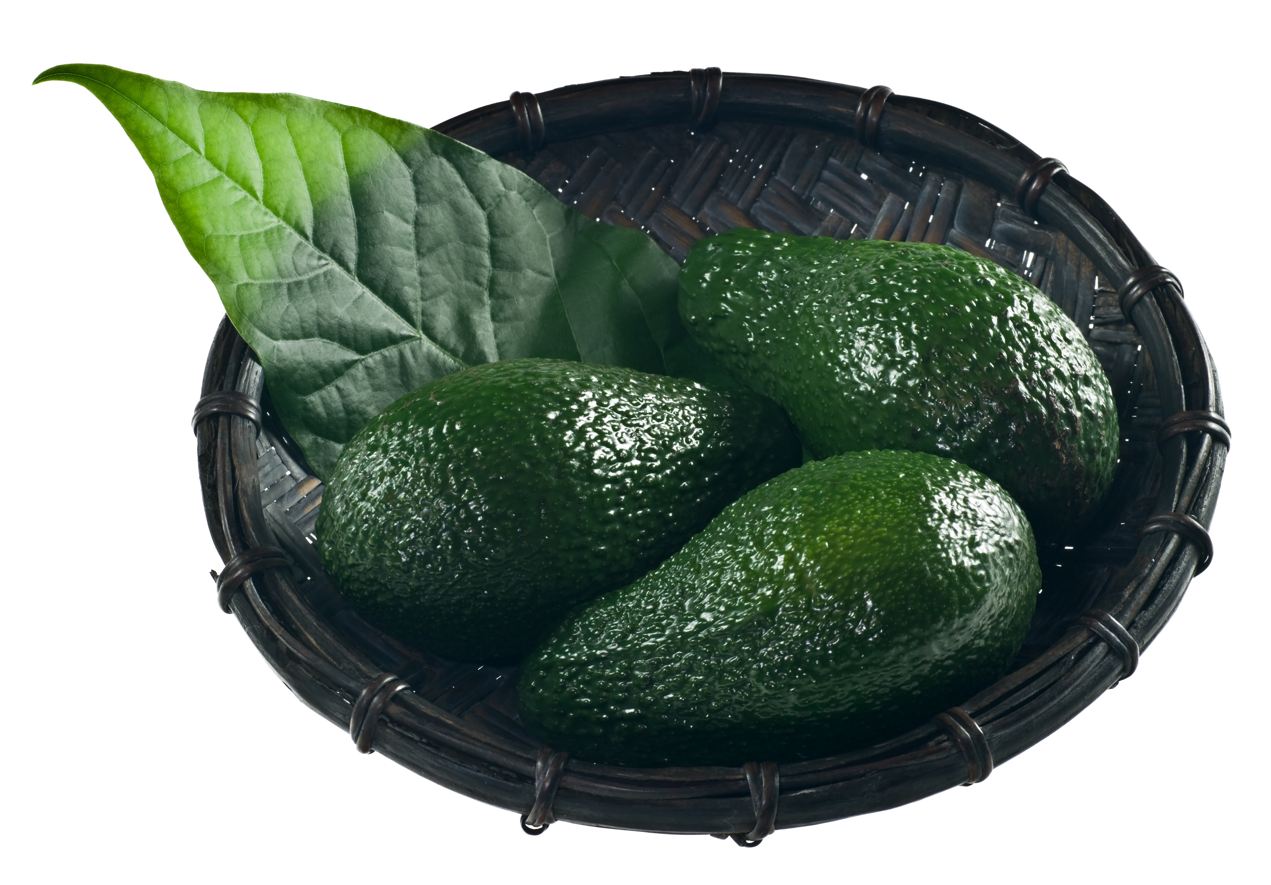 Avocado IMGP1117