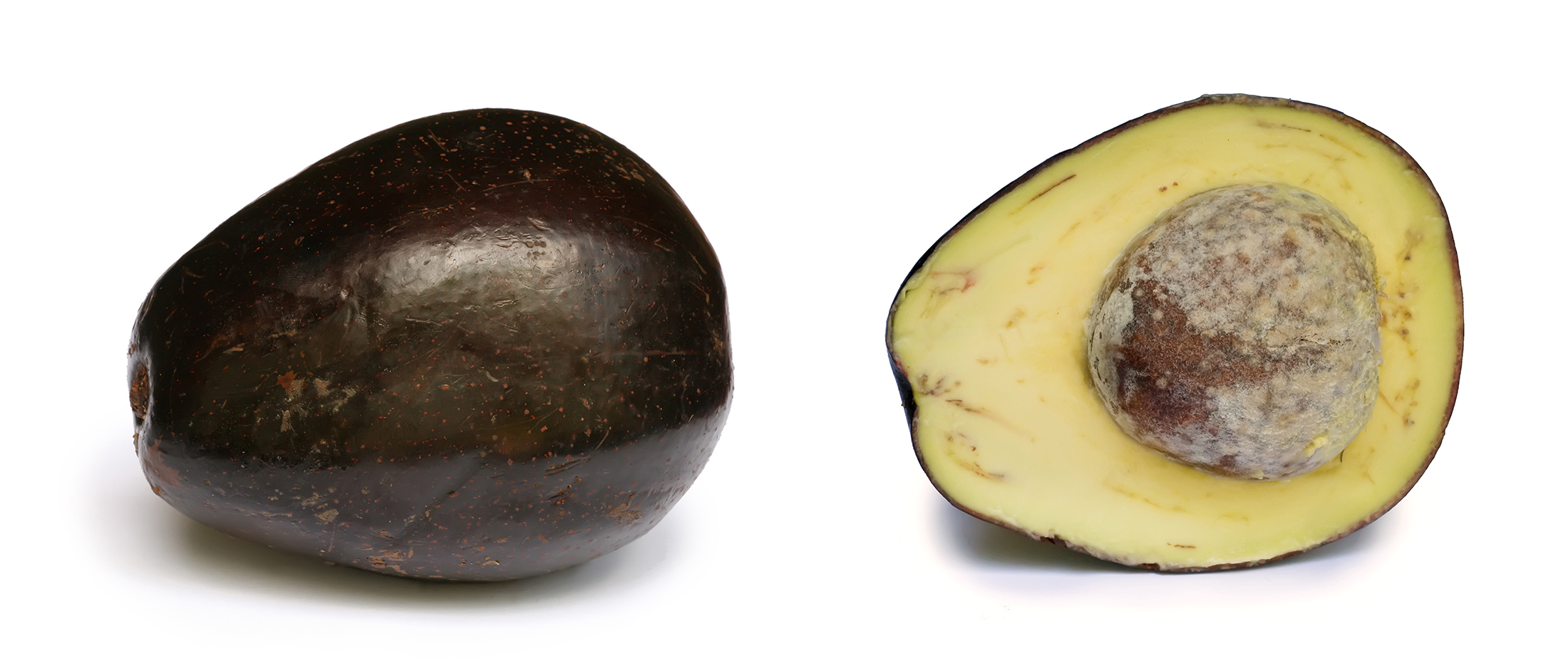 Avocado with cross section edit
