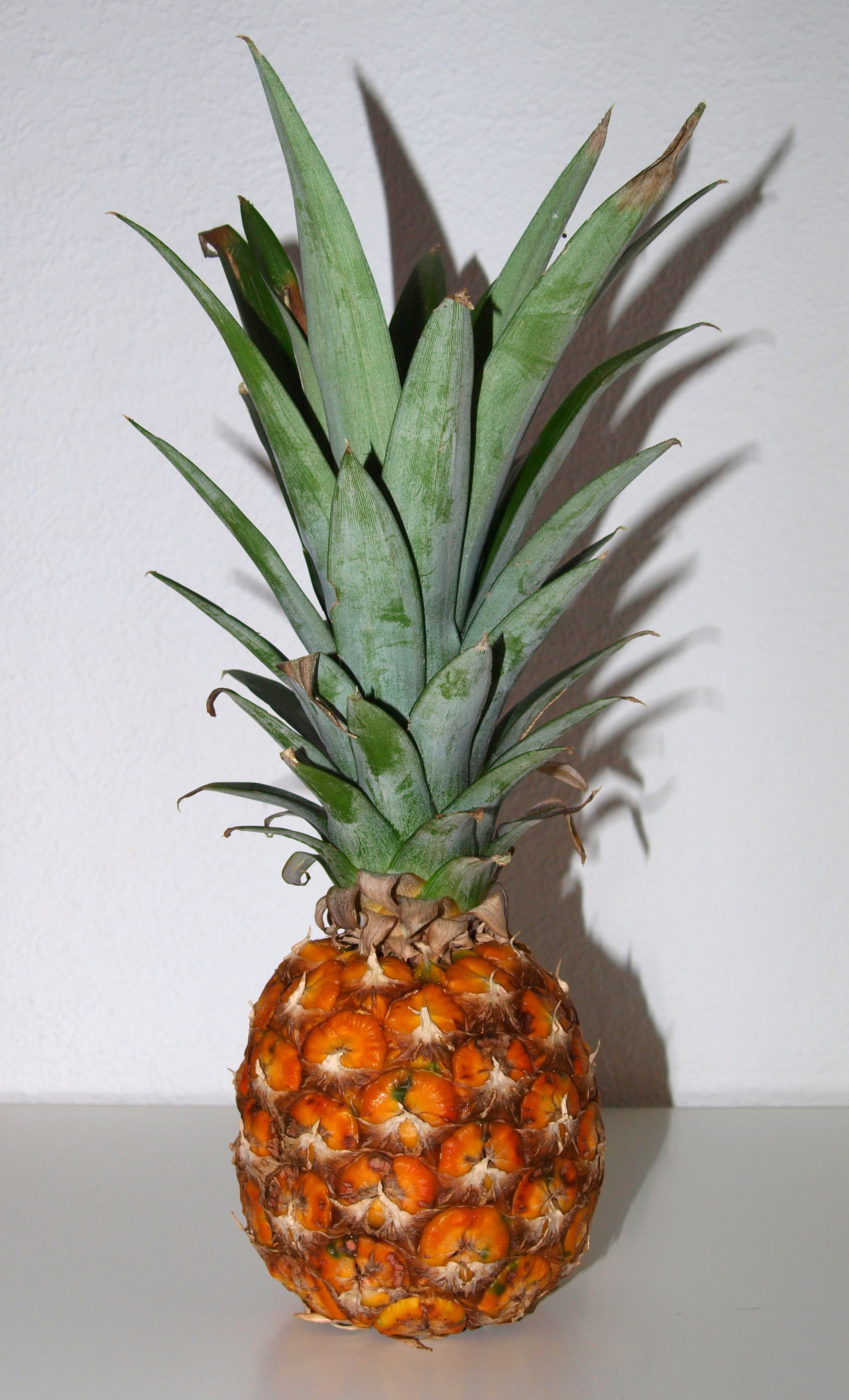 Baby-Ananas