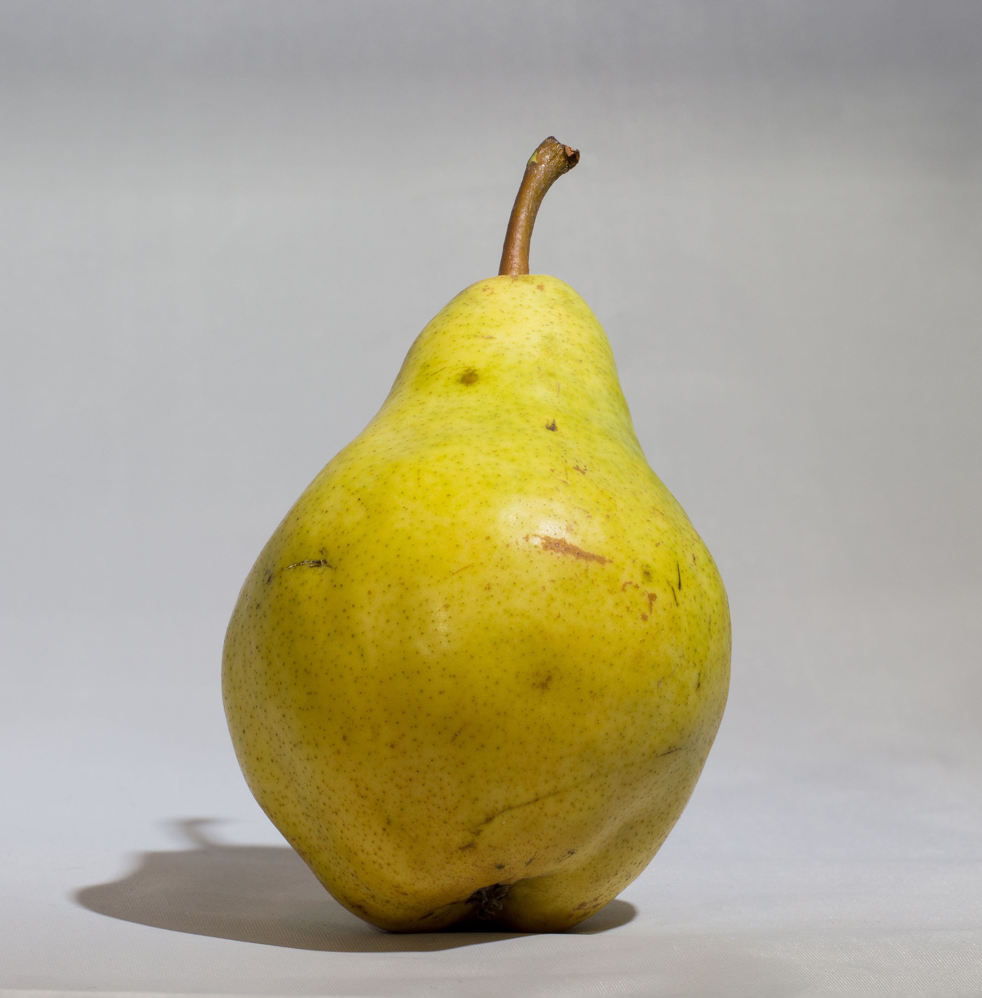 Bartlett pear