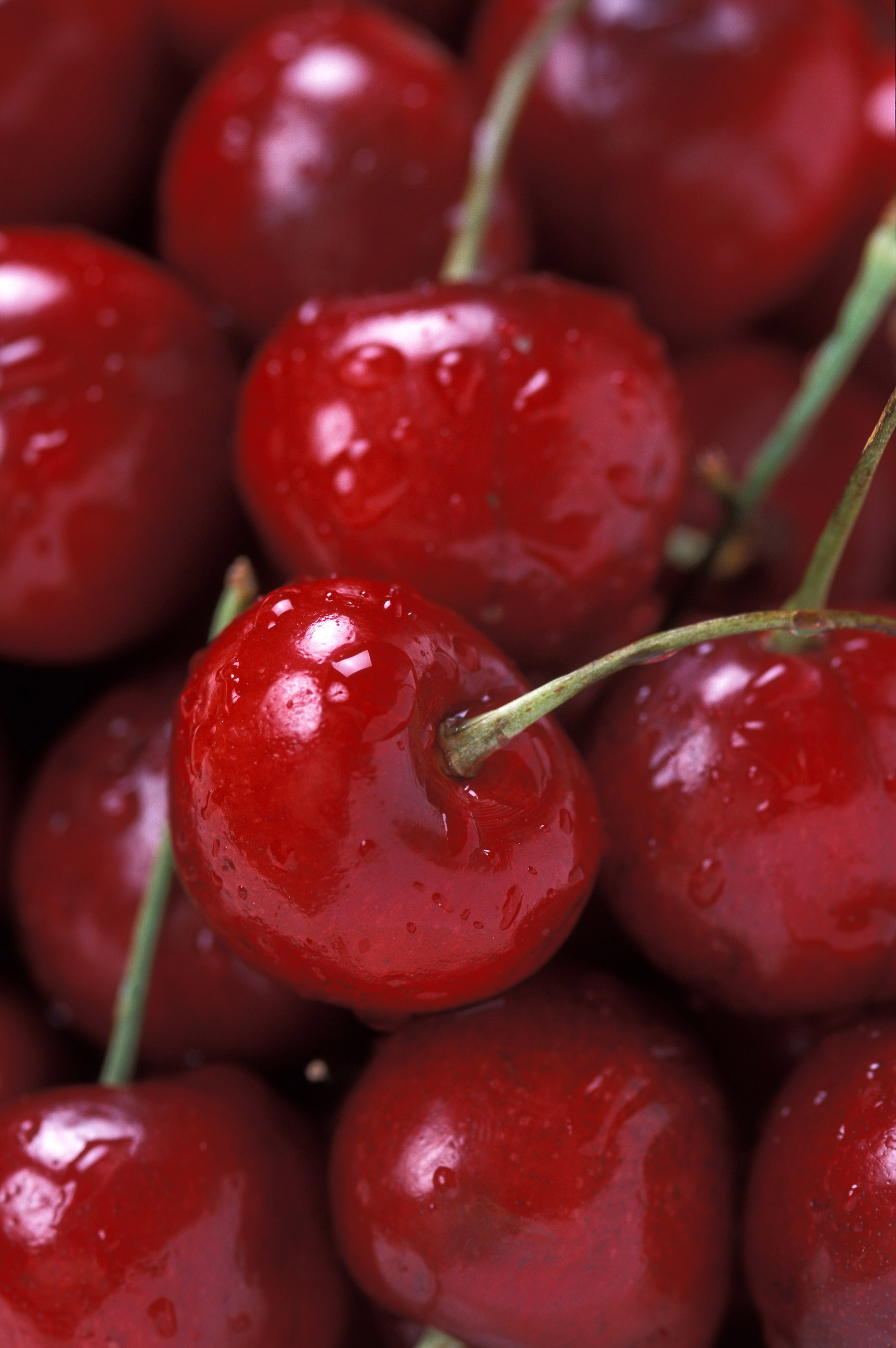 Bing Cherries (USDA ARS)