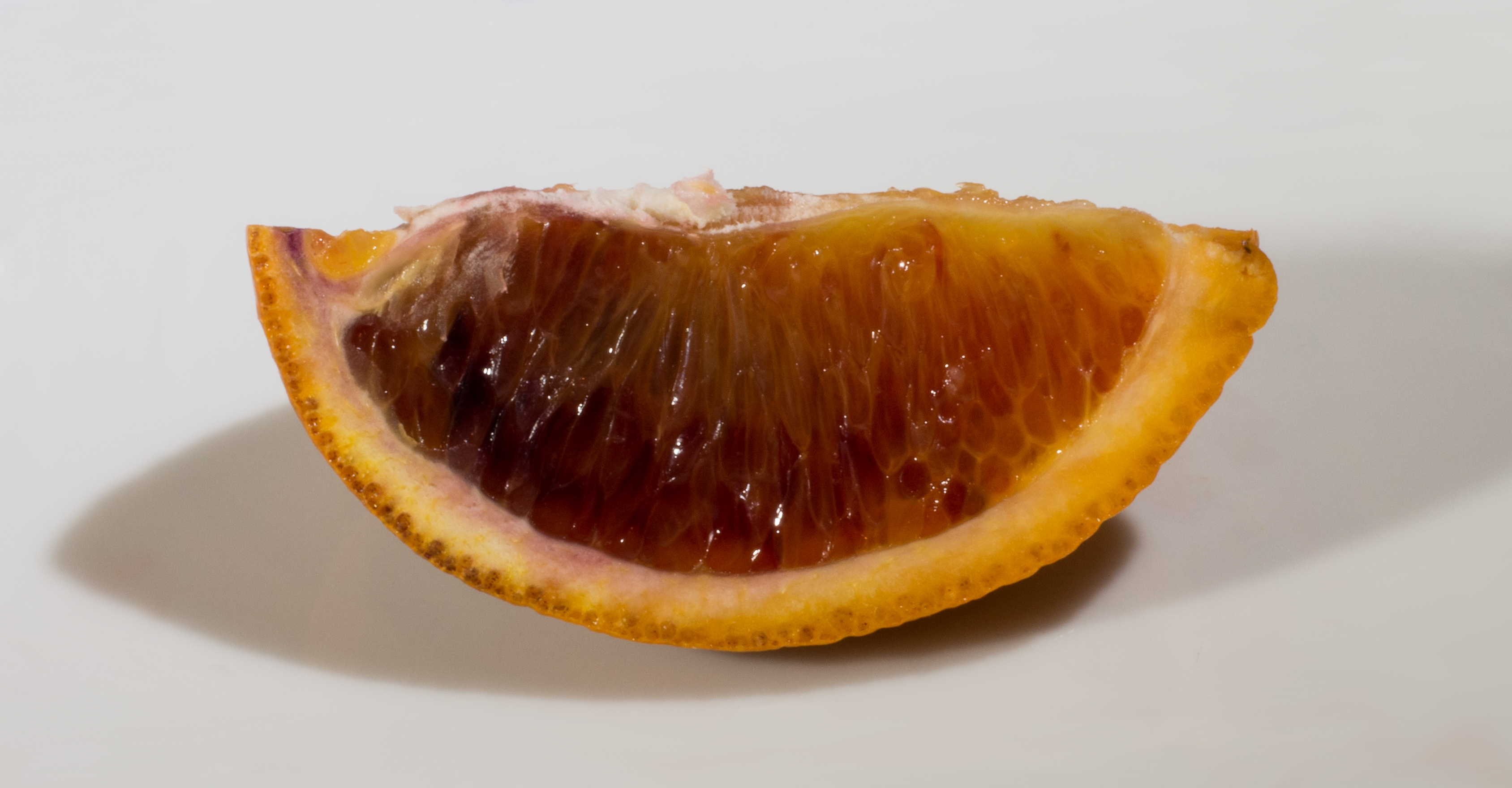 Blood orange slice