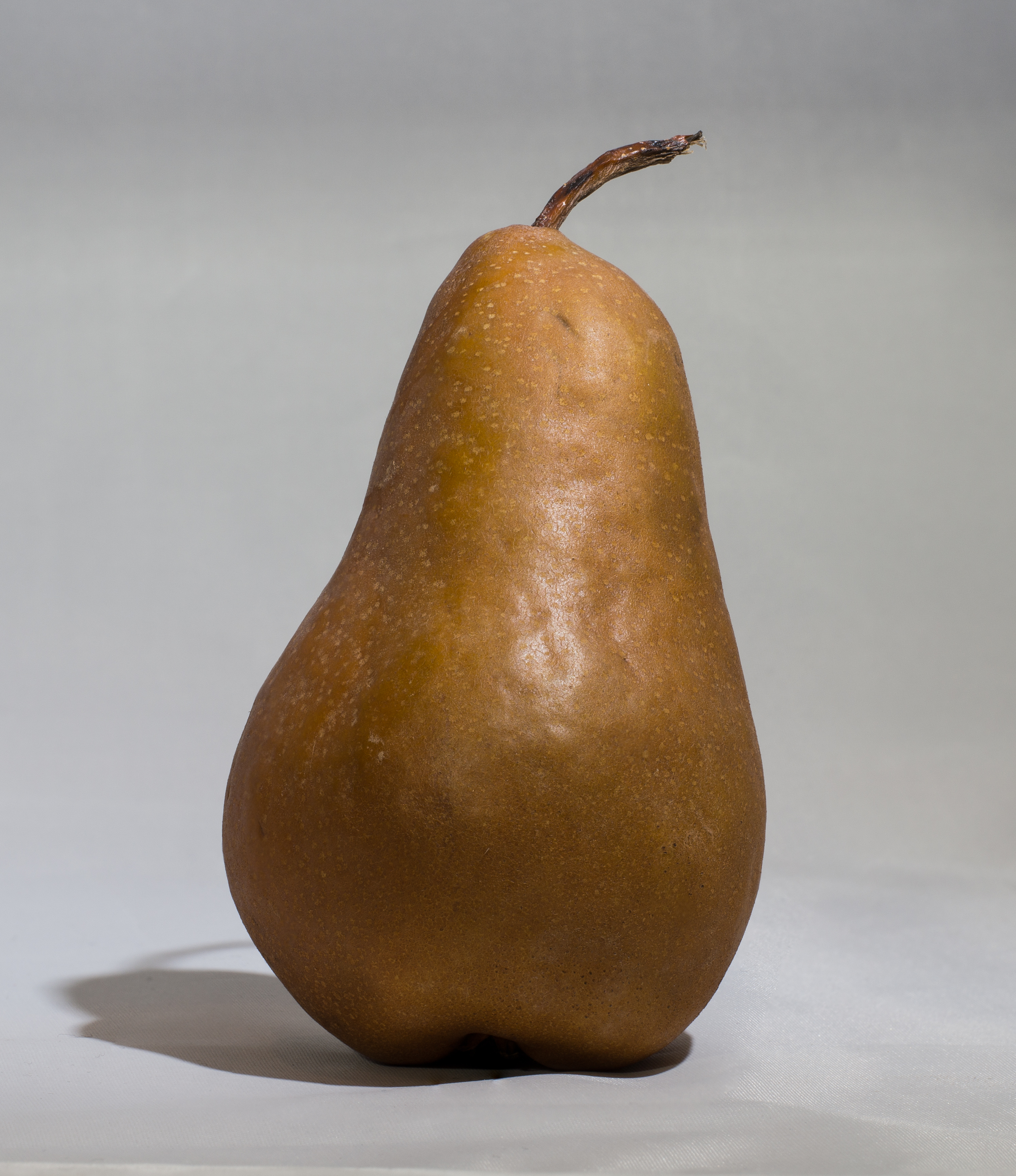 Bosc pear