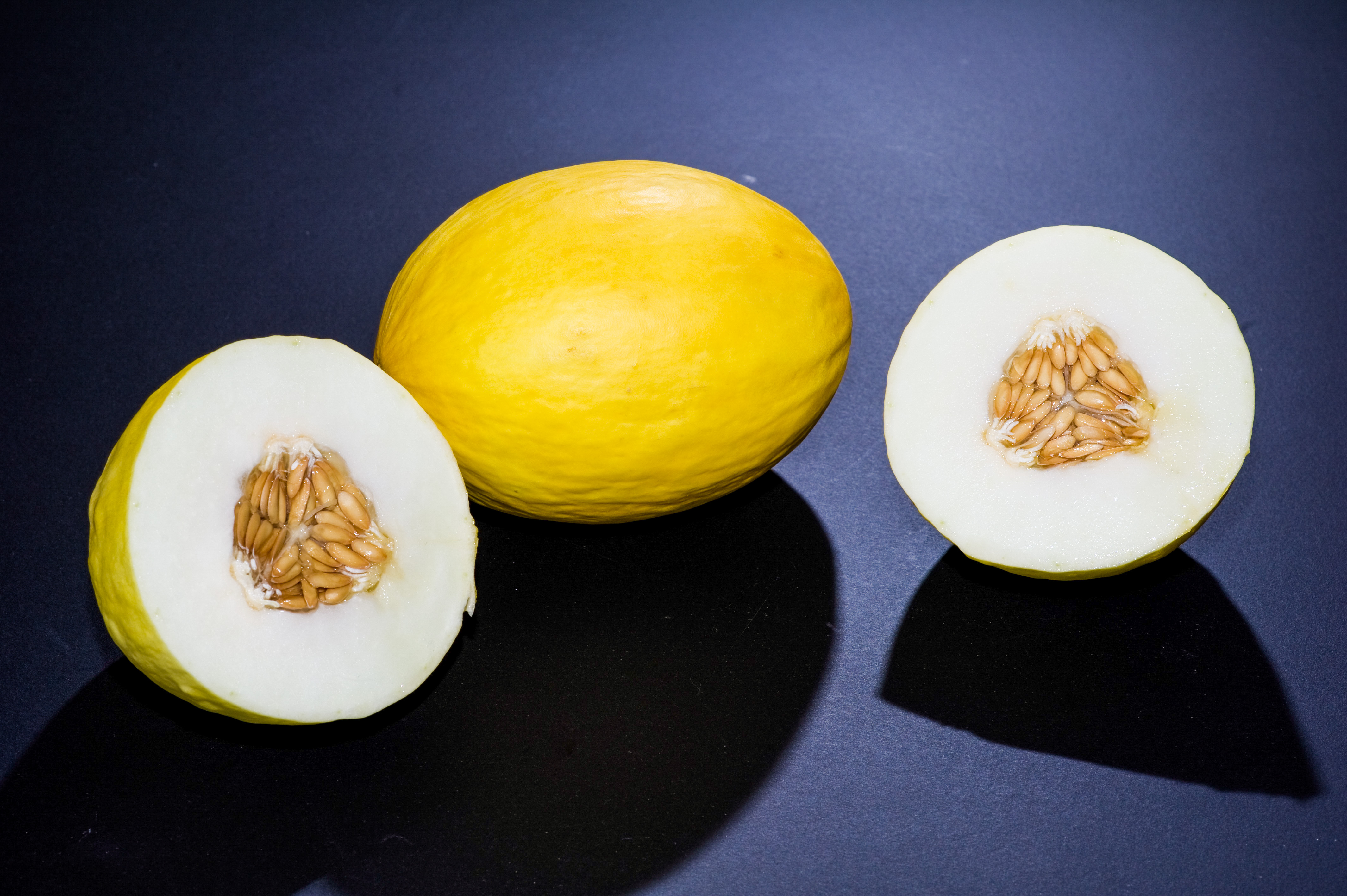 Canary melon 2010