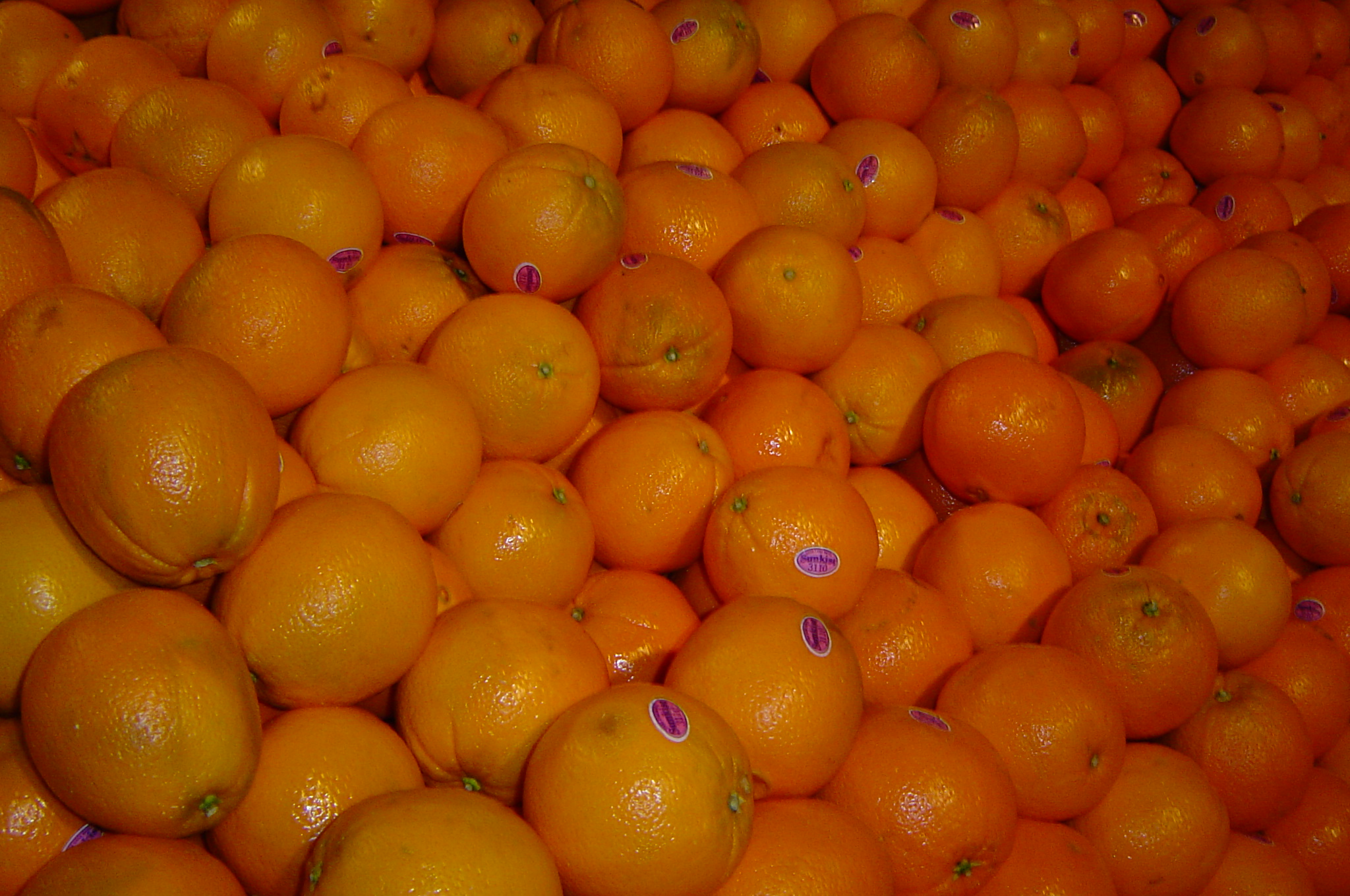 Caracaranaveloranges