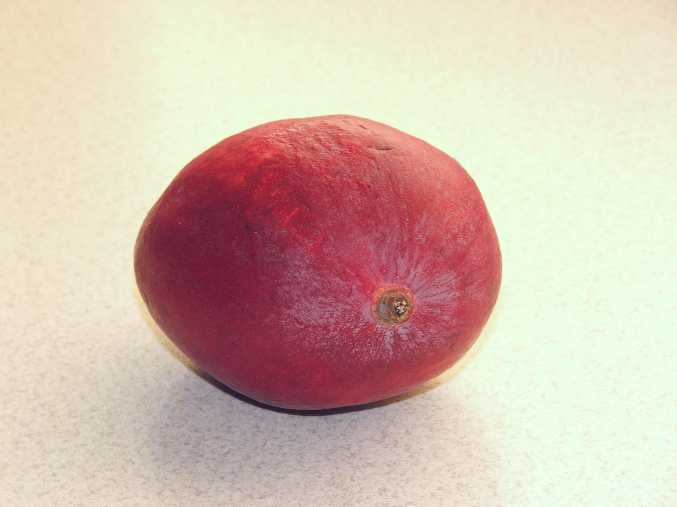 Carica papaya 2 (Piotr Kuczynski)