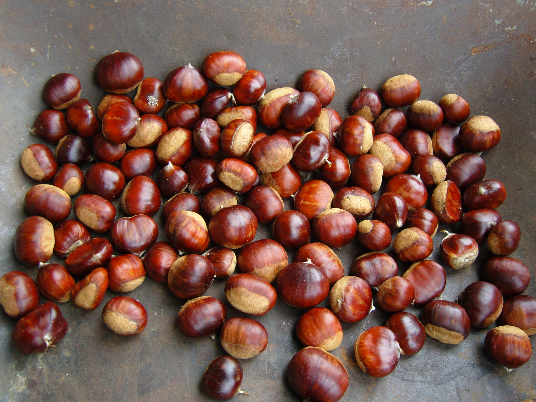 Castañas limpas