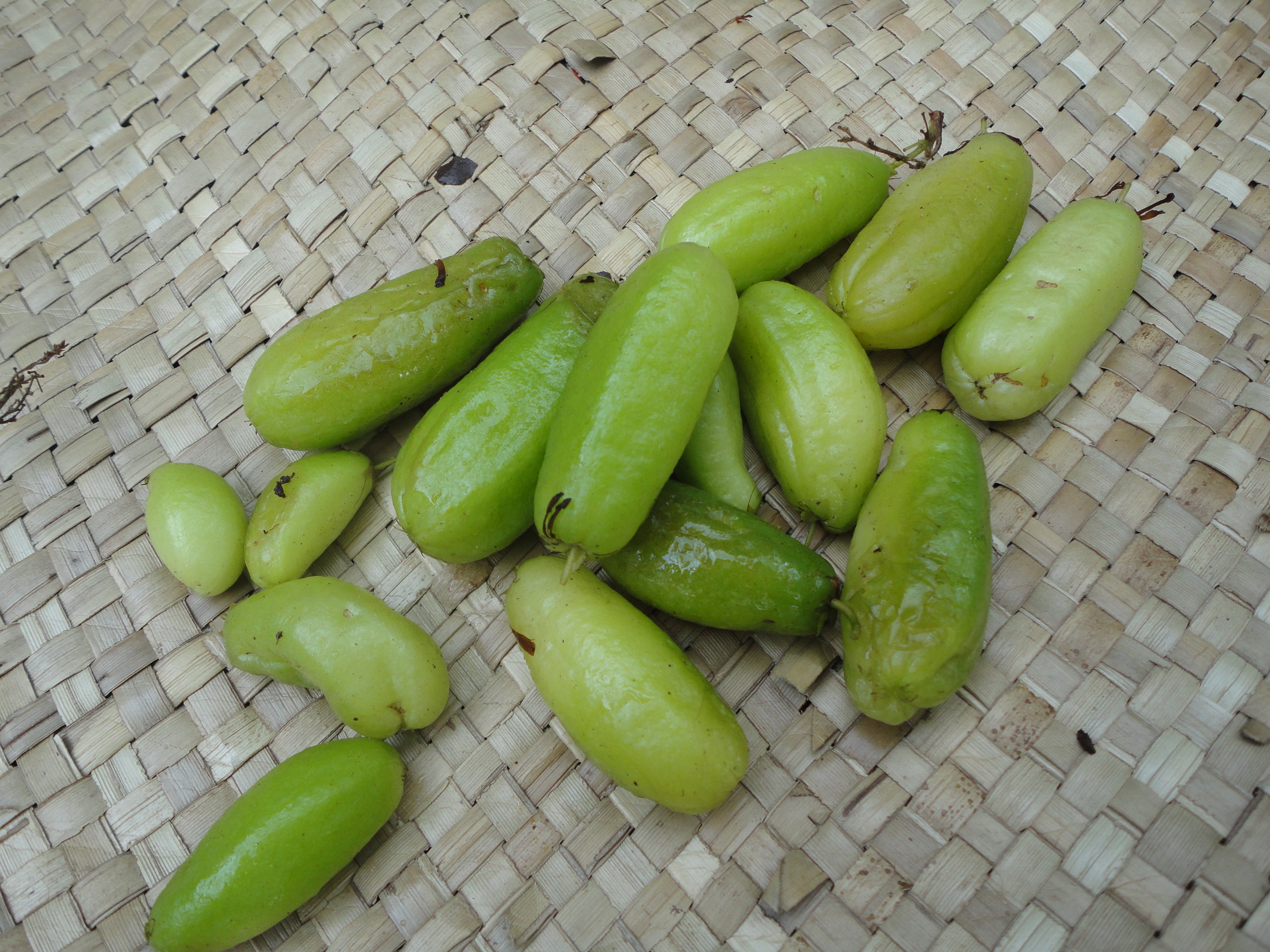 Chemmi puli4