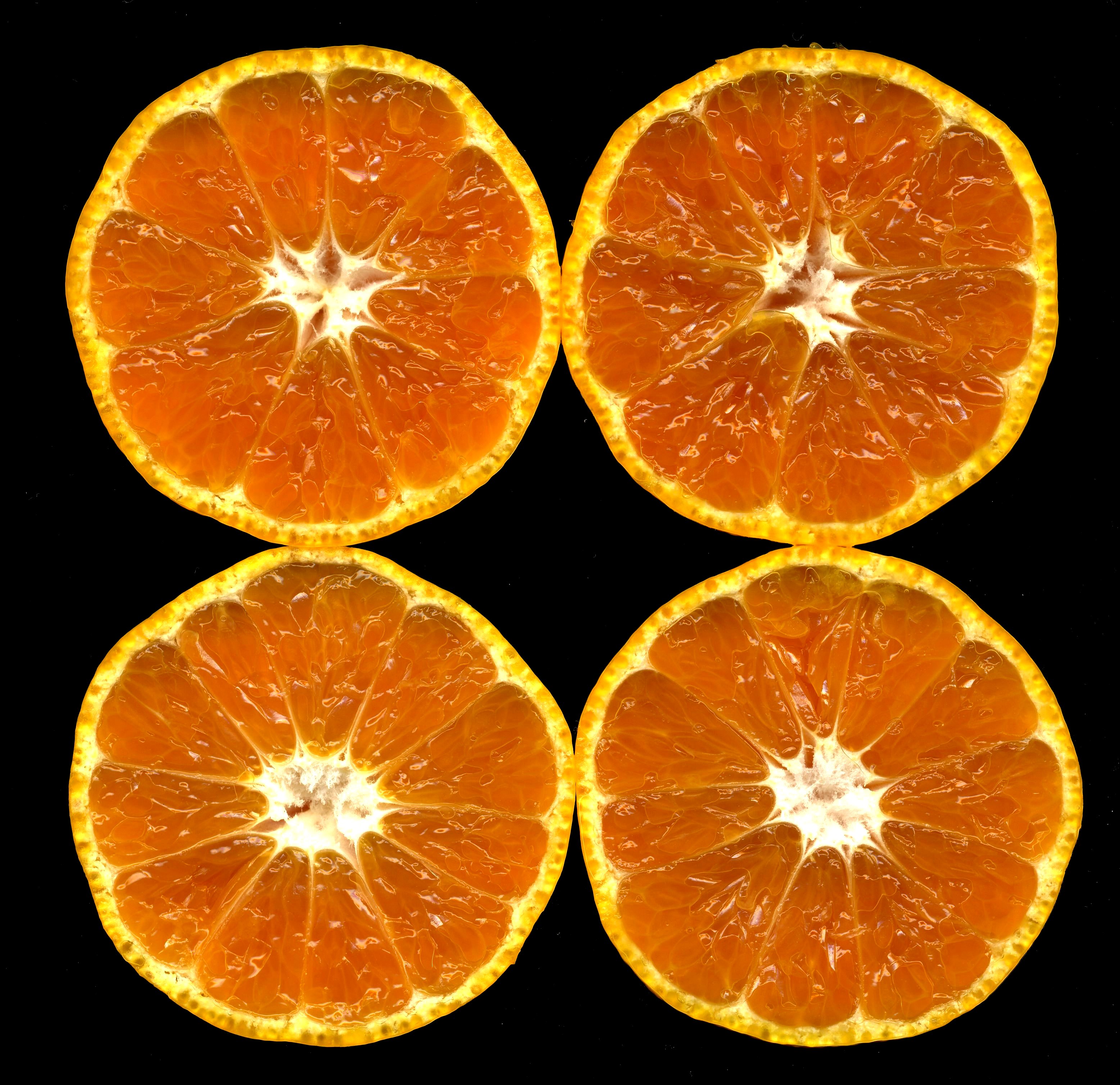 Citrus unshiu-unshu mikan