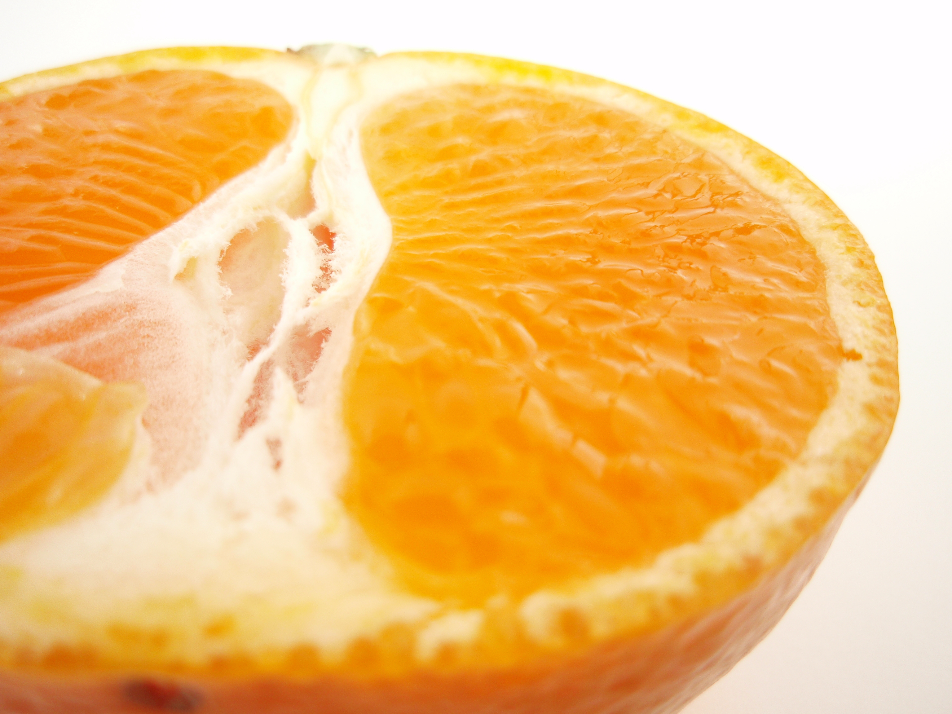 Citrus unshiu 20101125 a