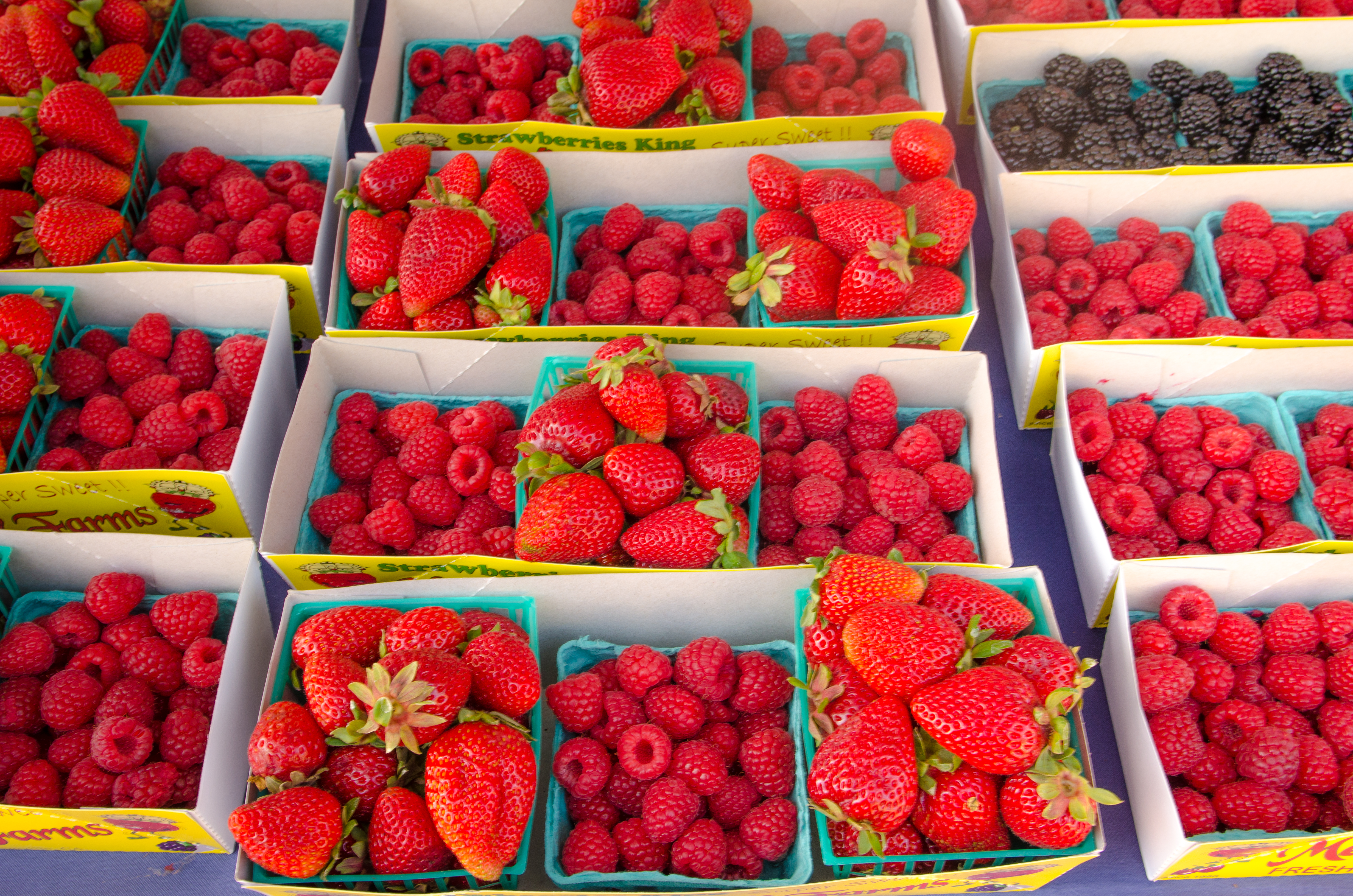 Civic Center Market (13 of 30) 7623988174