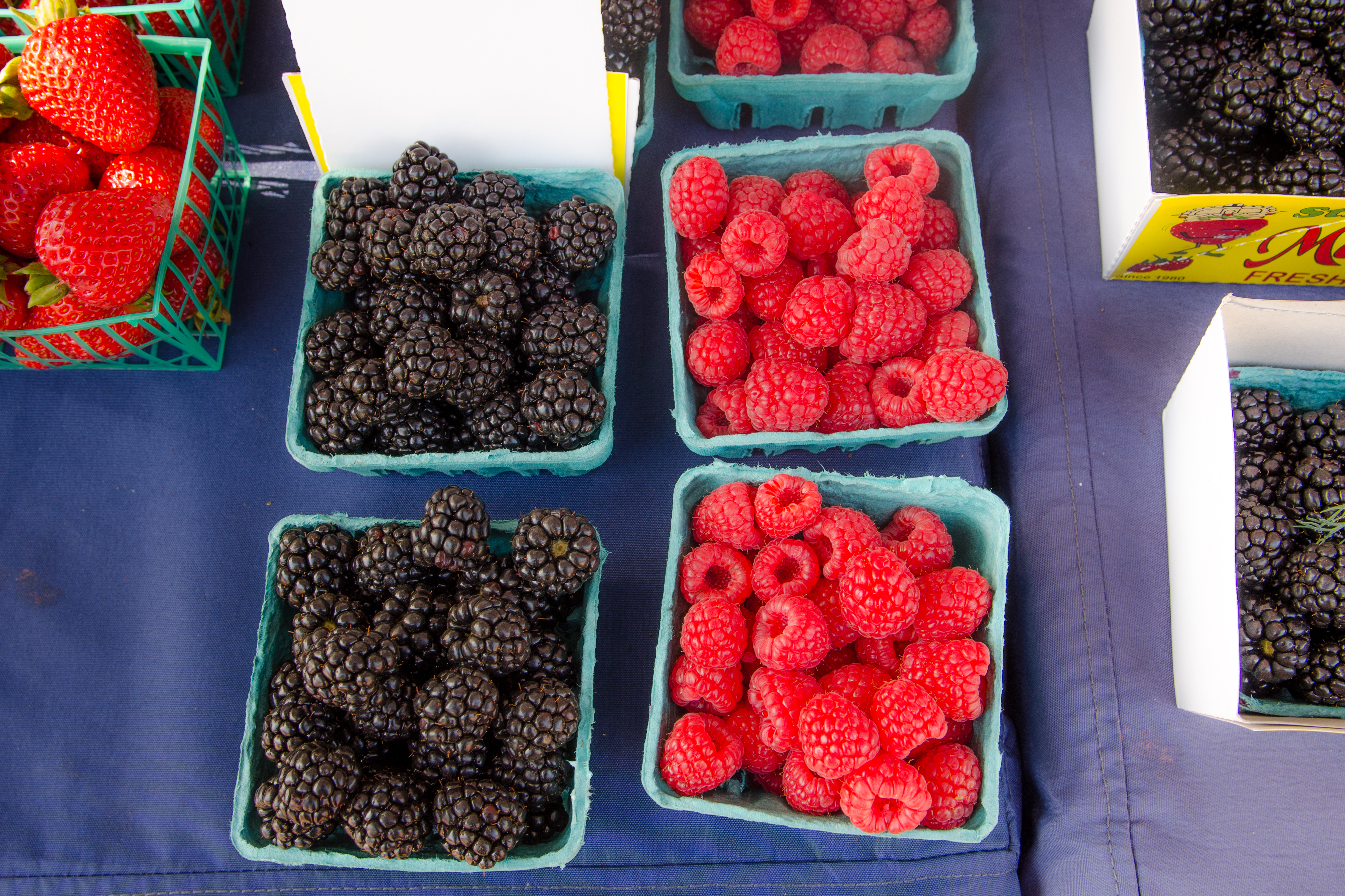 Civic Center Market (14 of 30) 7623970702