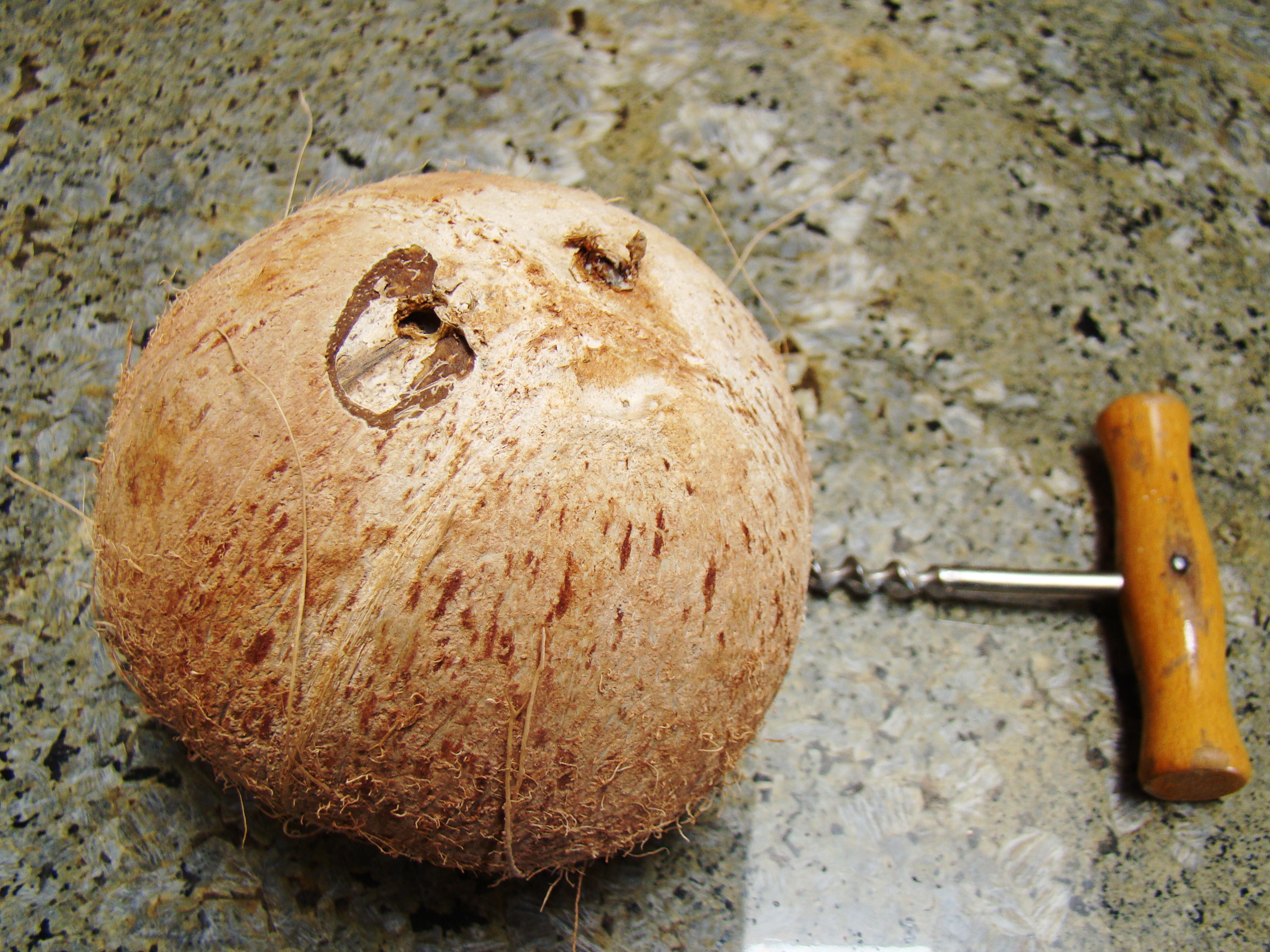Coconut, Holes to Drain Water (4492296298)