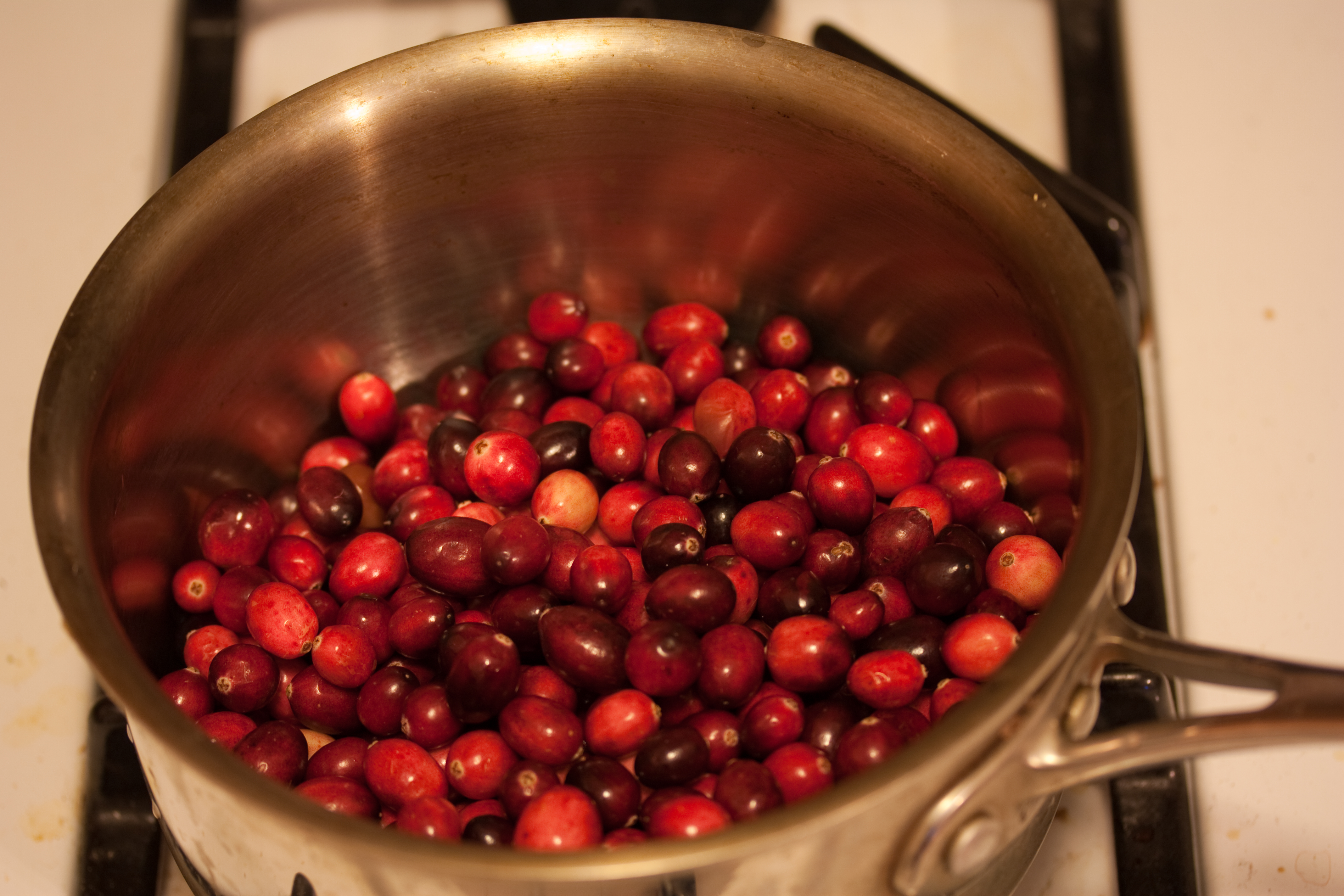 Cranberries (4169995131)