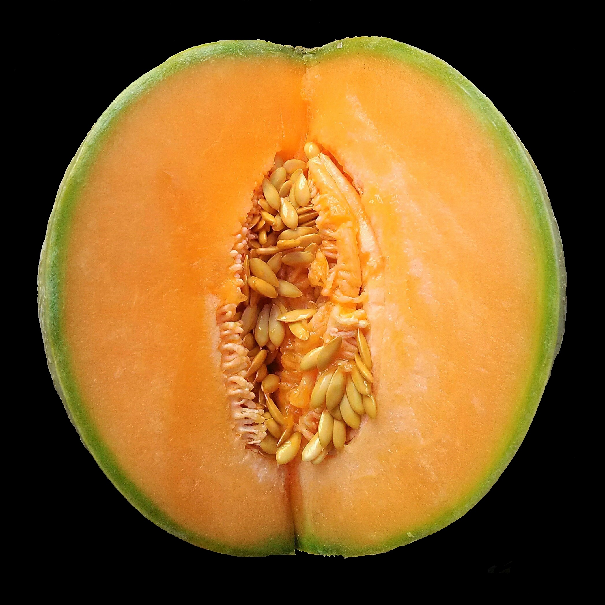 Cucumis melo on black background