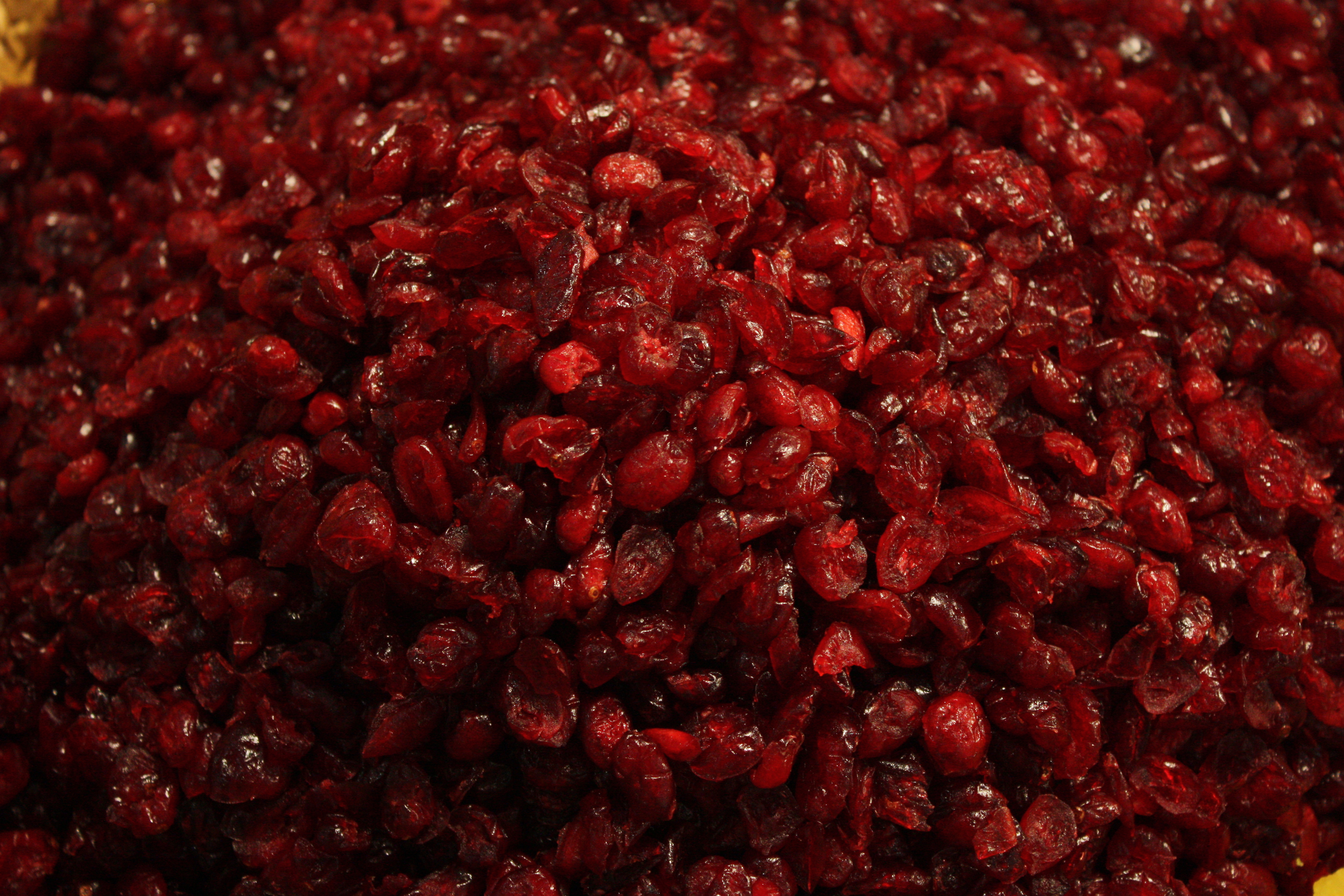 Dries cranberries auf der Messe Bremen 02