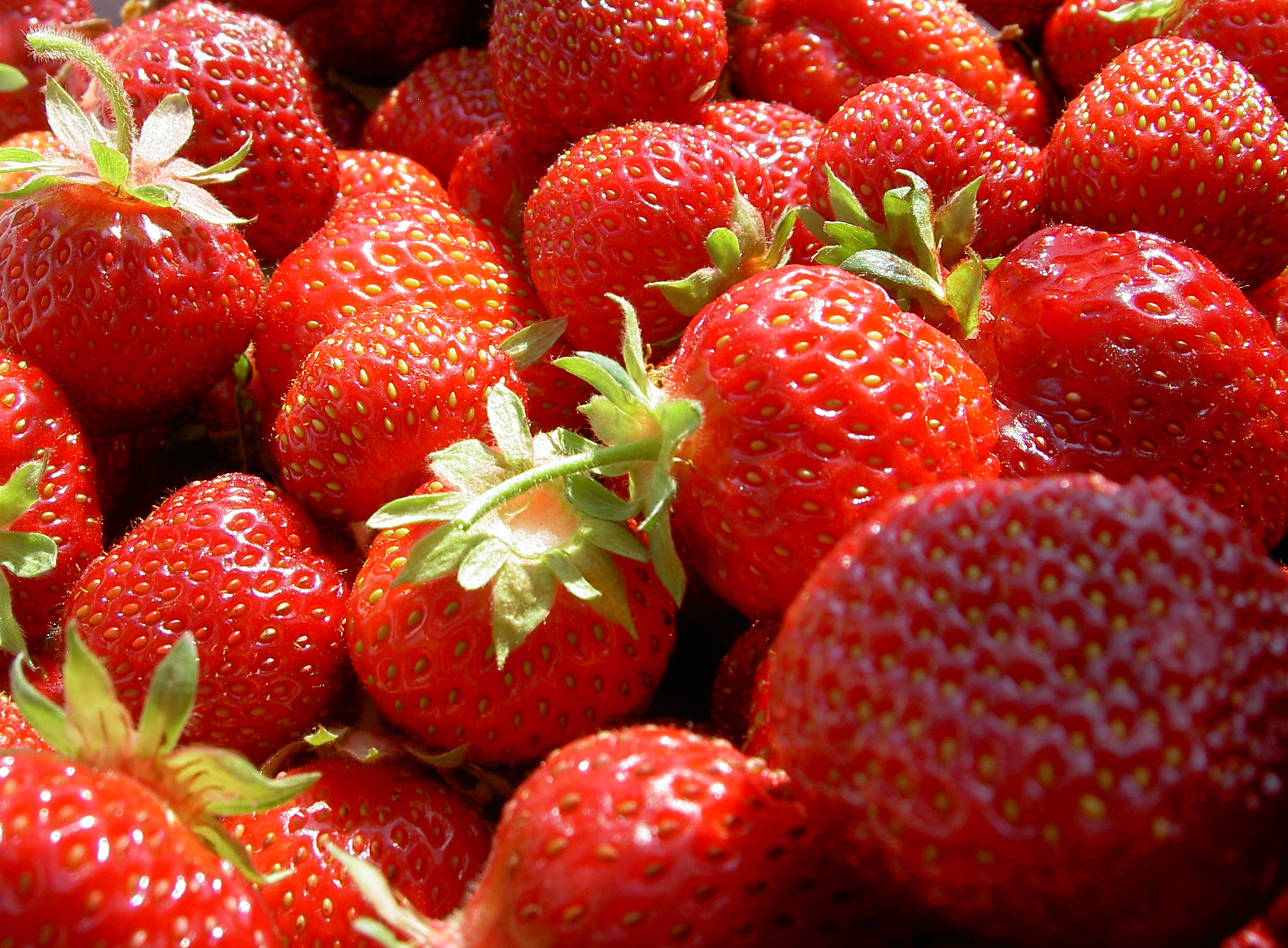 Erdbeeren-WJP-1