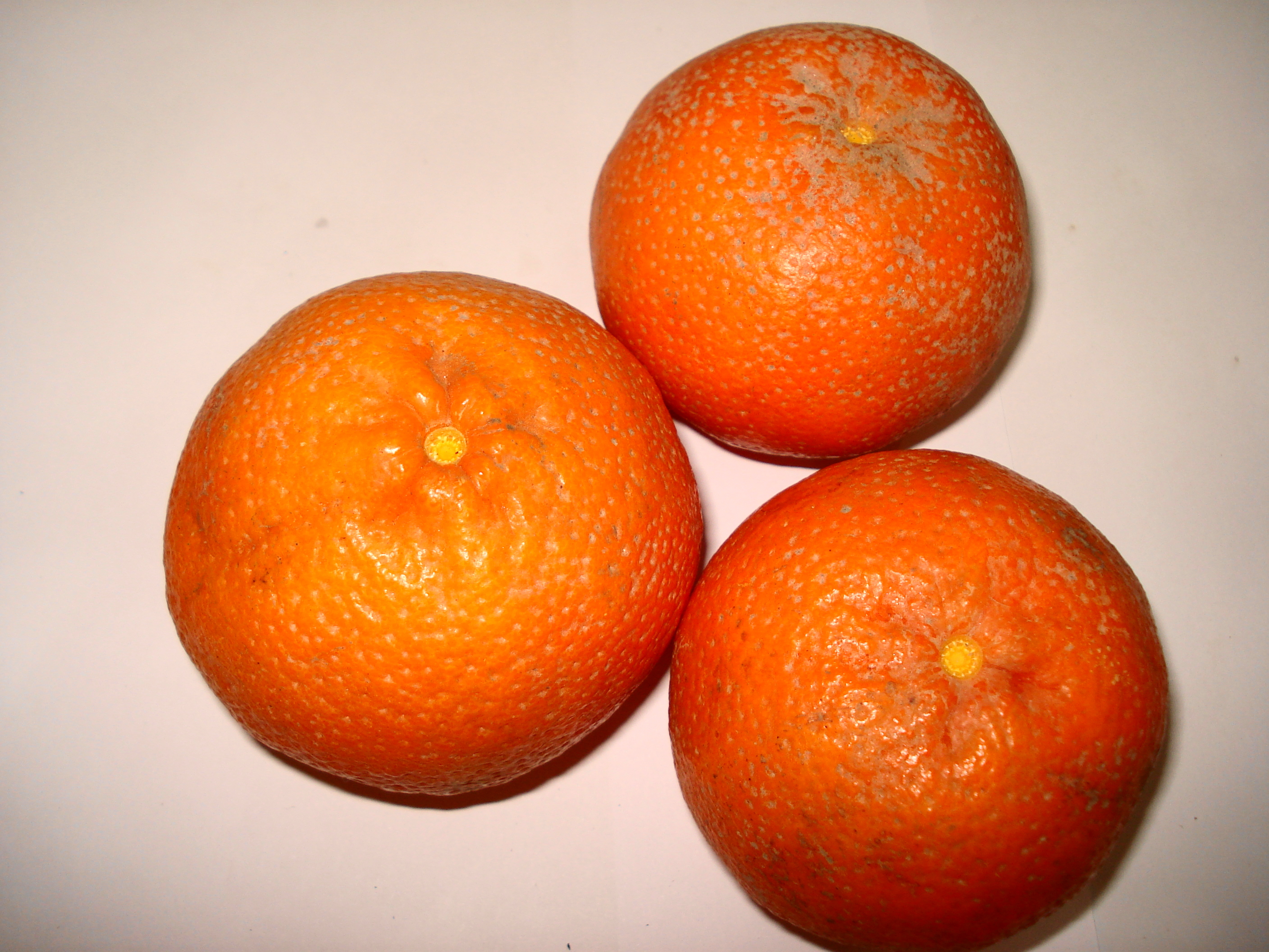 Fruiter