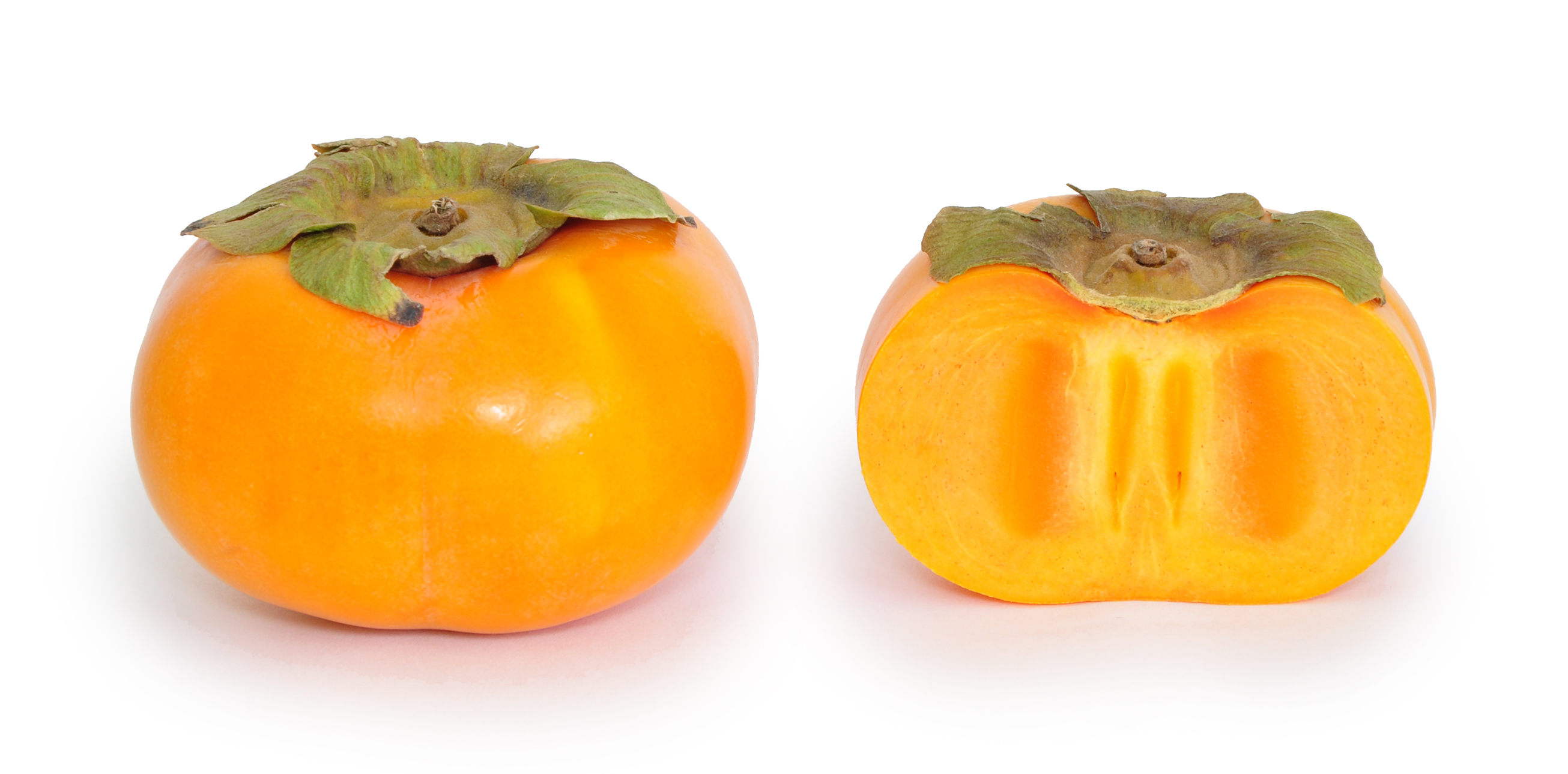 Fuyu Persimmon (Diospyros Kaki) editMMK
