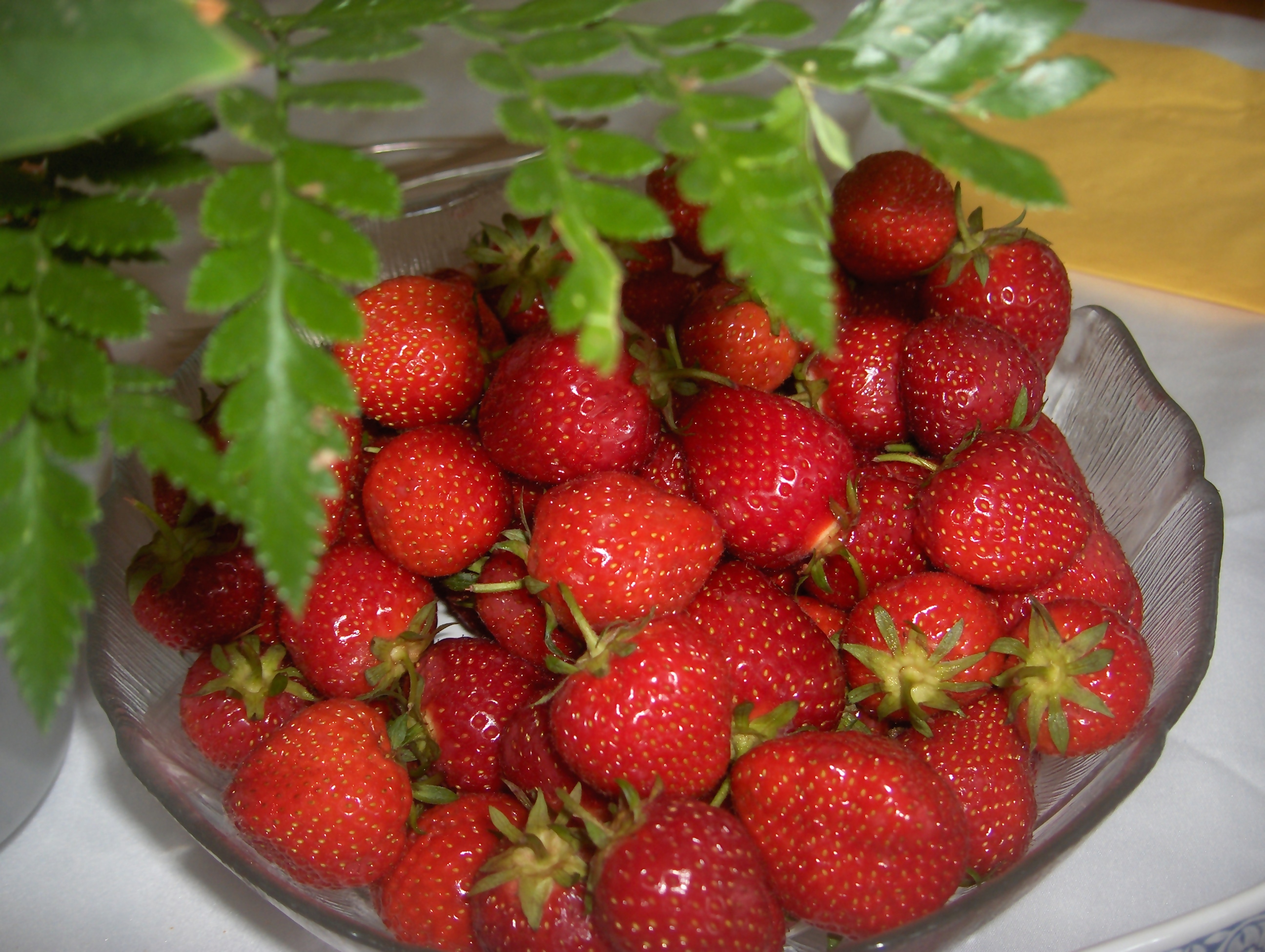 Garden Strawberries in Germany