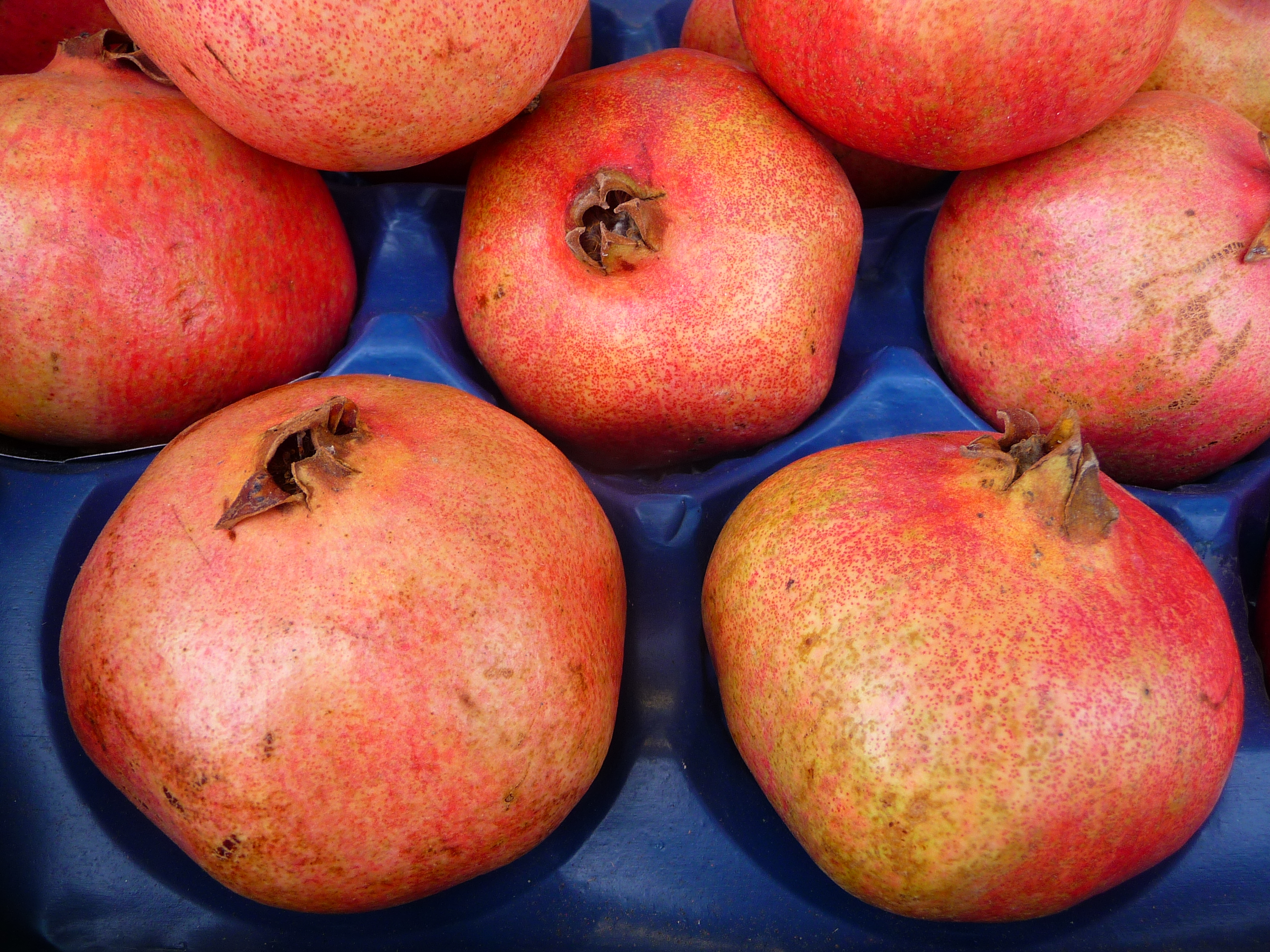 Granatapfel 2009
