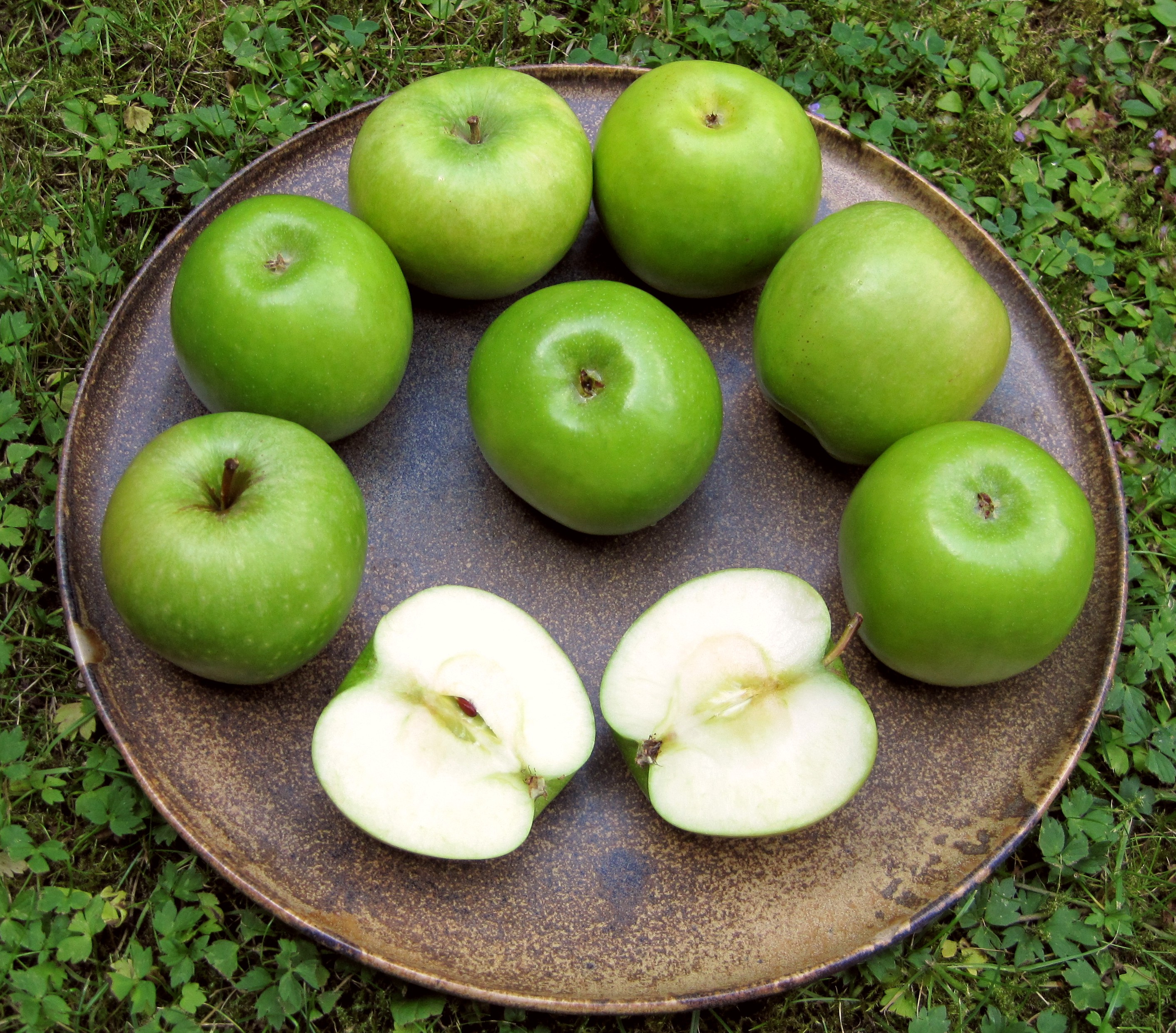 Granny Smith, Beispiel aus Chile