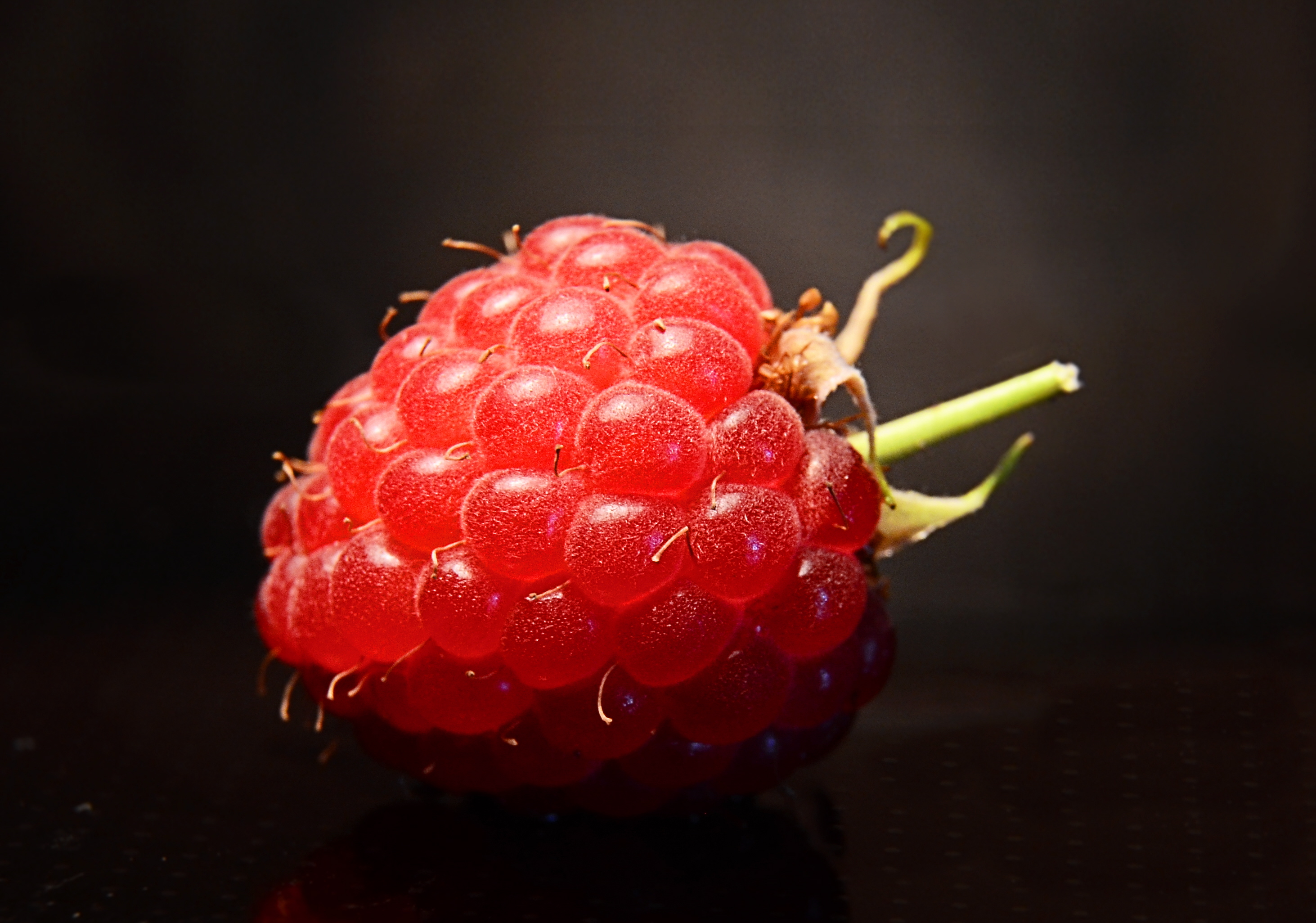 Himbeere (27981207555)