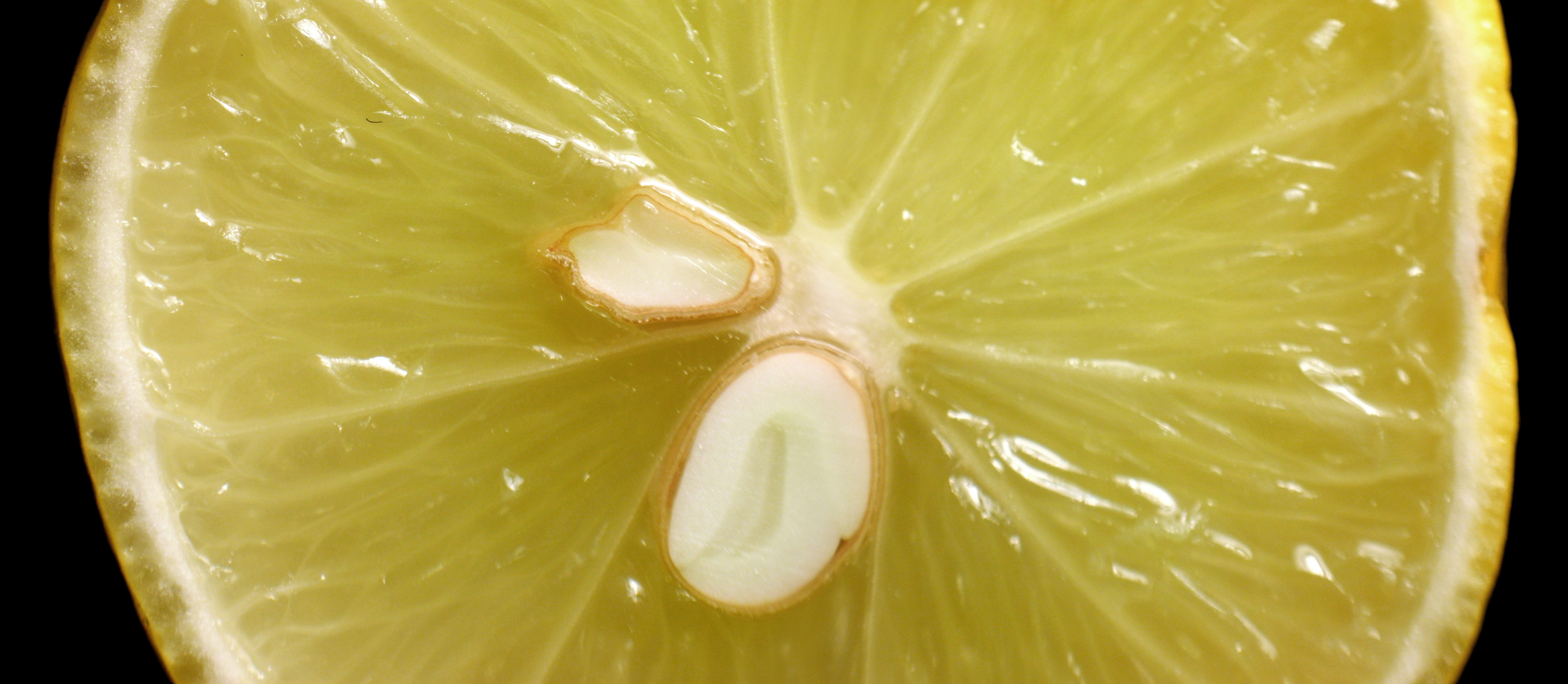 Lemon Half